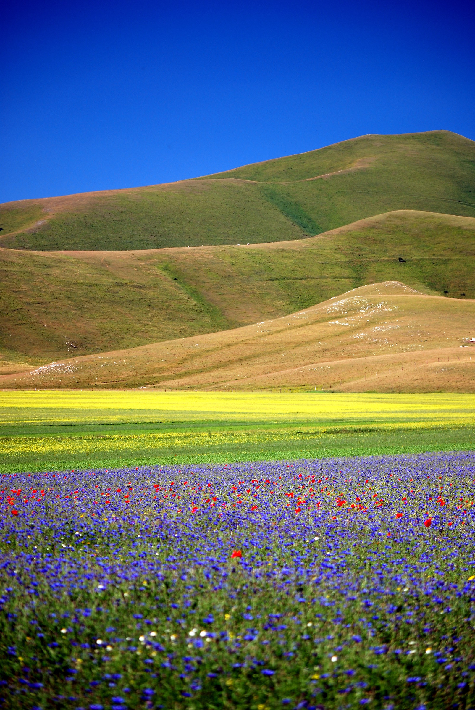 Castelluccio15