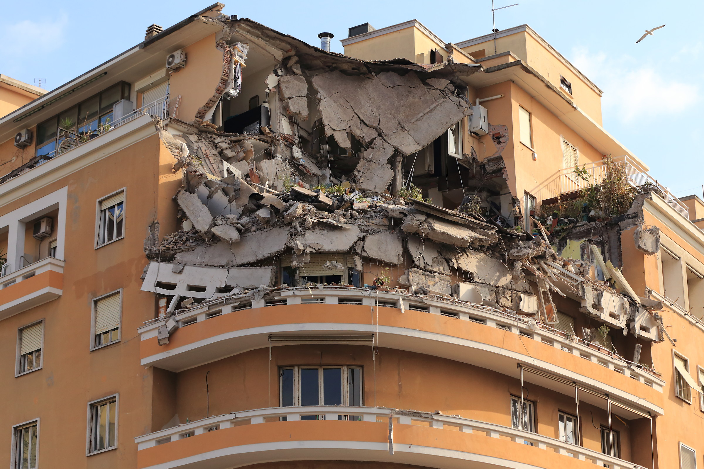 il gabbiano ha visto tutto