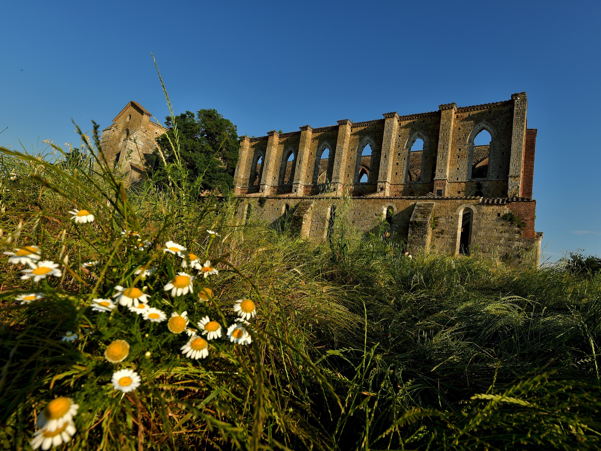 Abbey of San Galgano