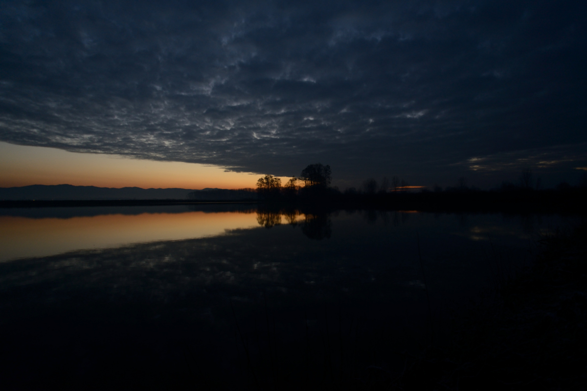 Campi allagati all'alba
