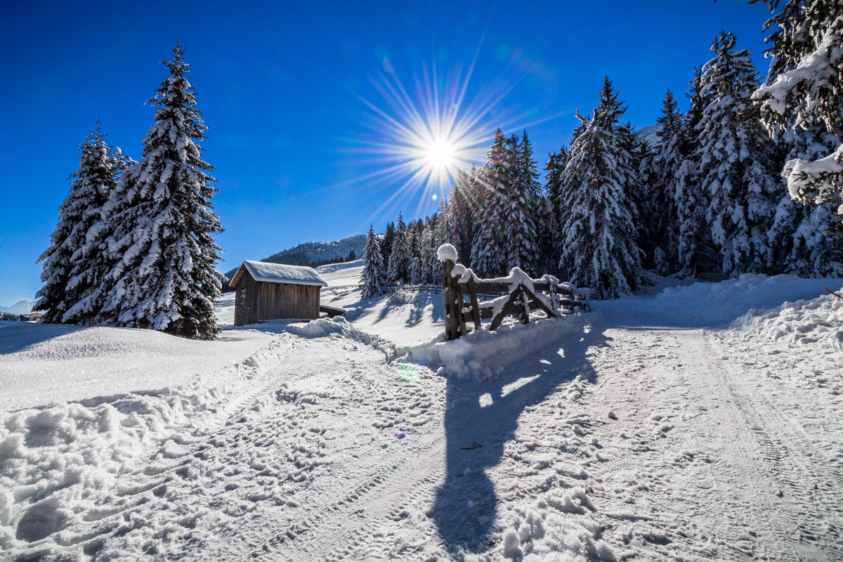 Neveeee... Finalmente!!