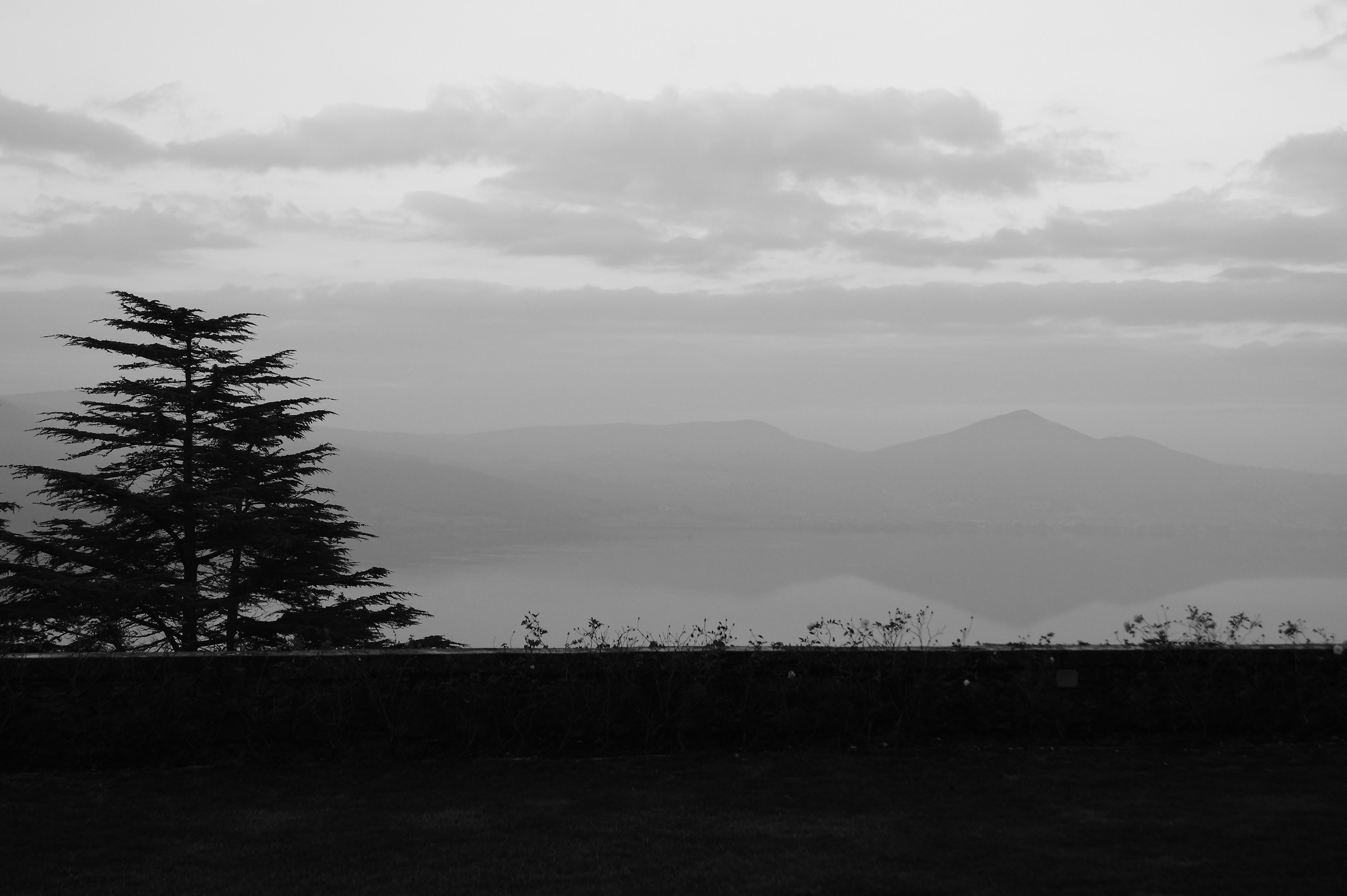 Il giardino Odescalchi
