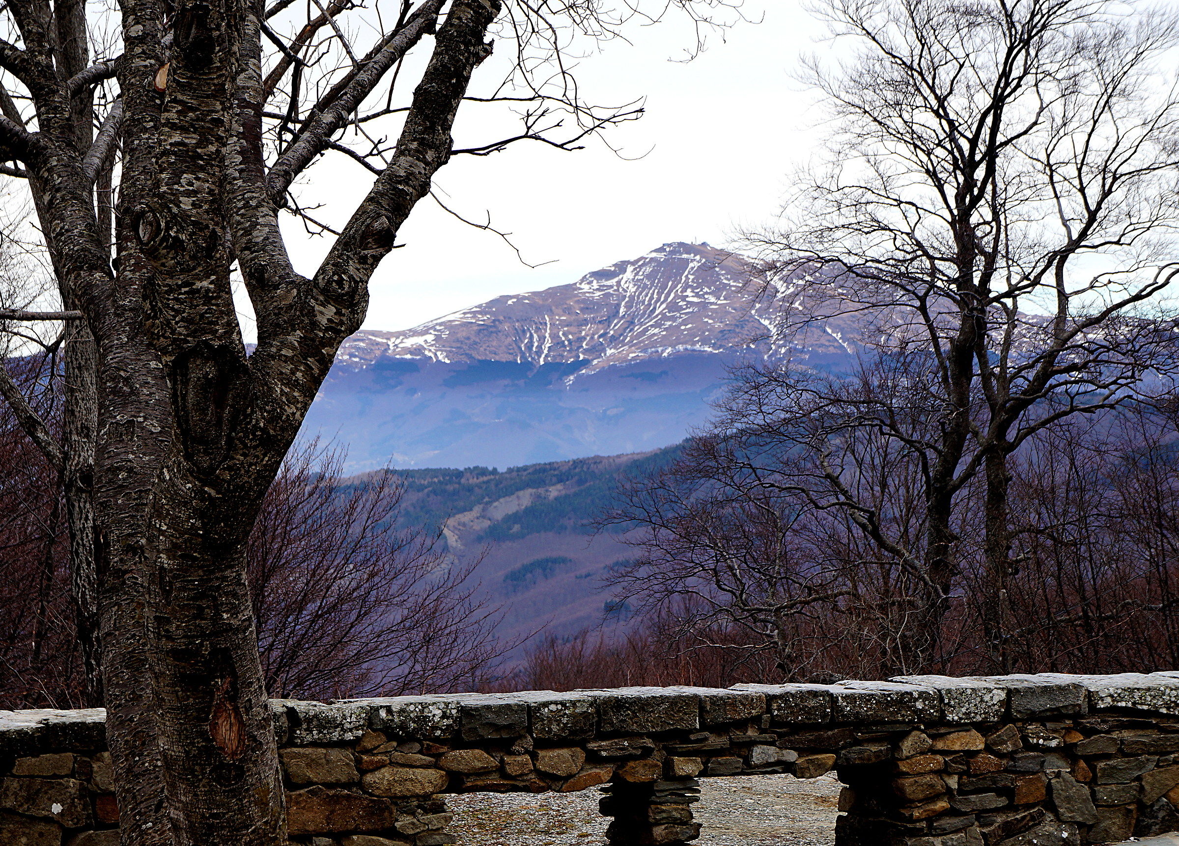 Monti visti dal Lago Santo