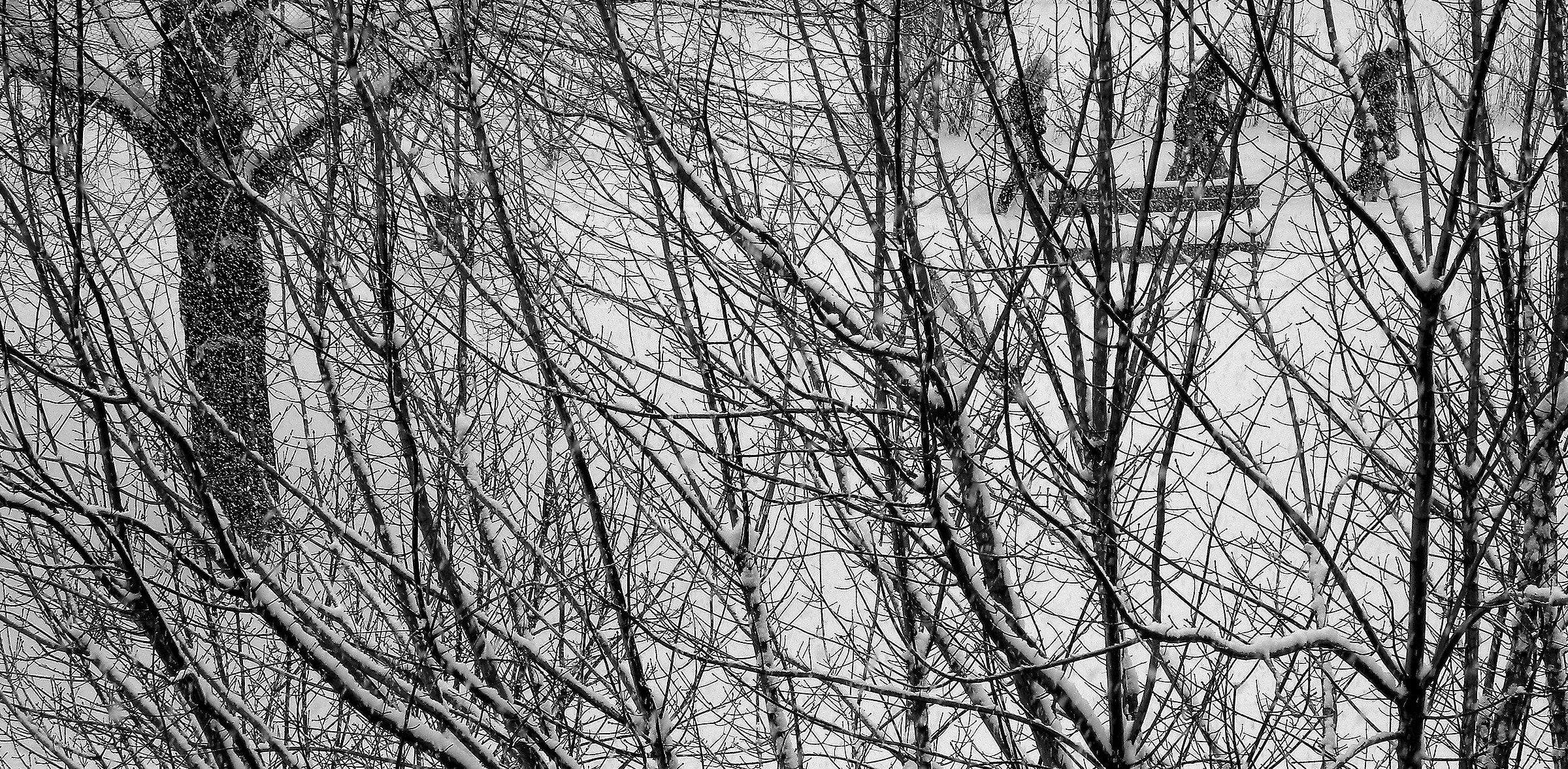 Snowfall in city park