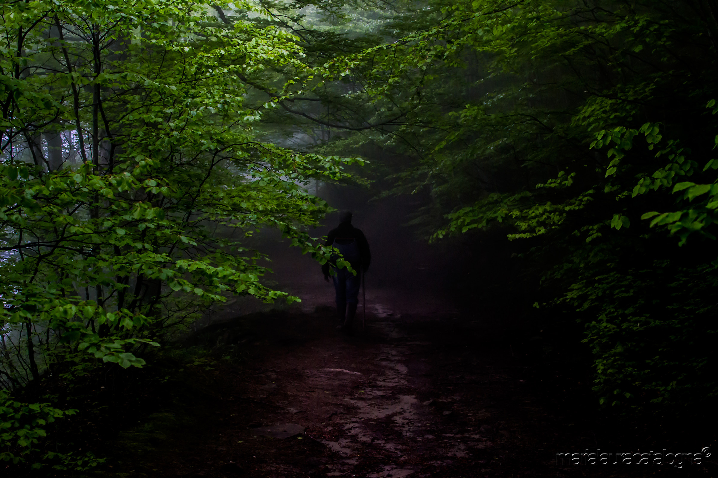 Your loneliness (Dad)