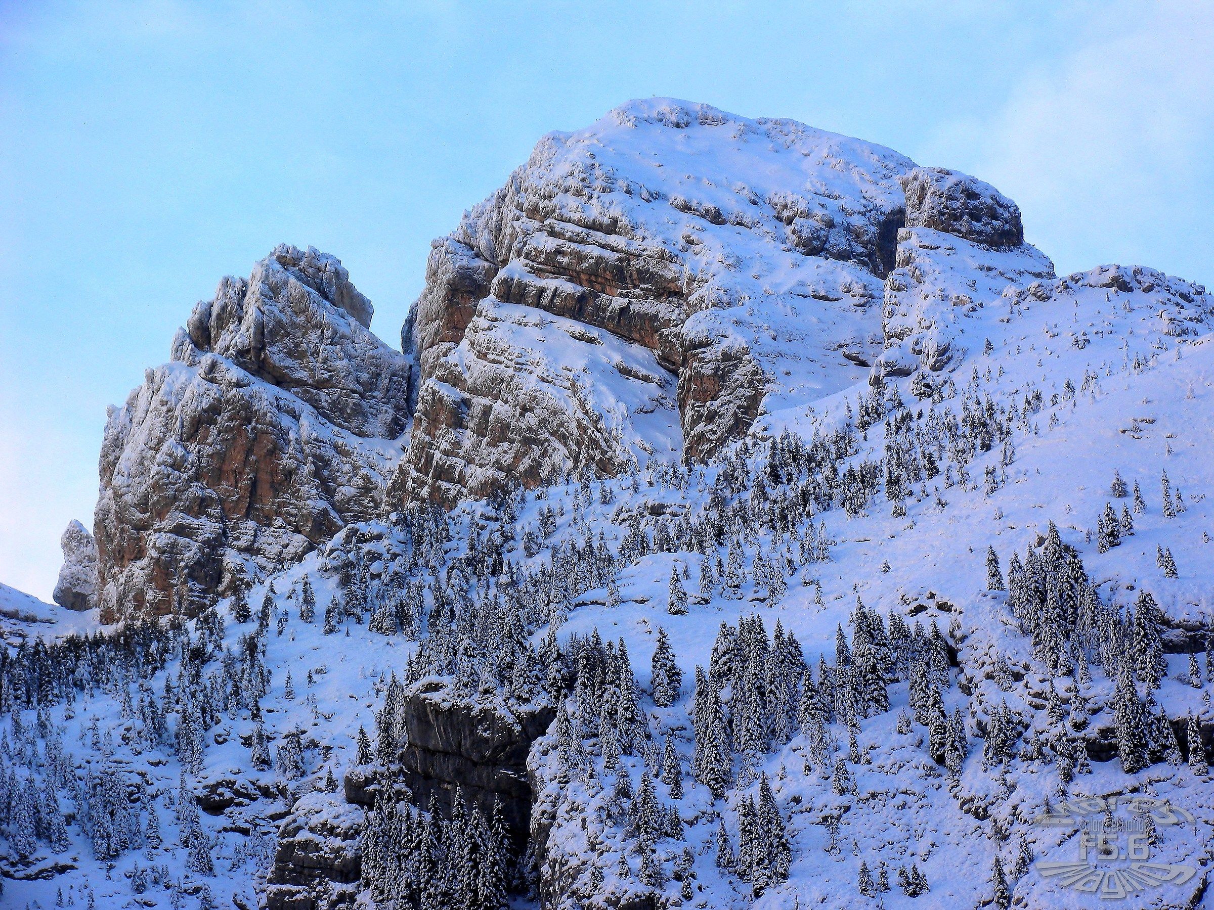 Pizzocco dressed in white