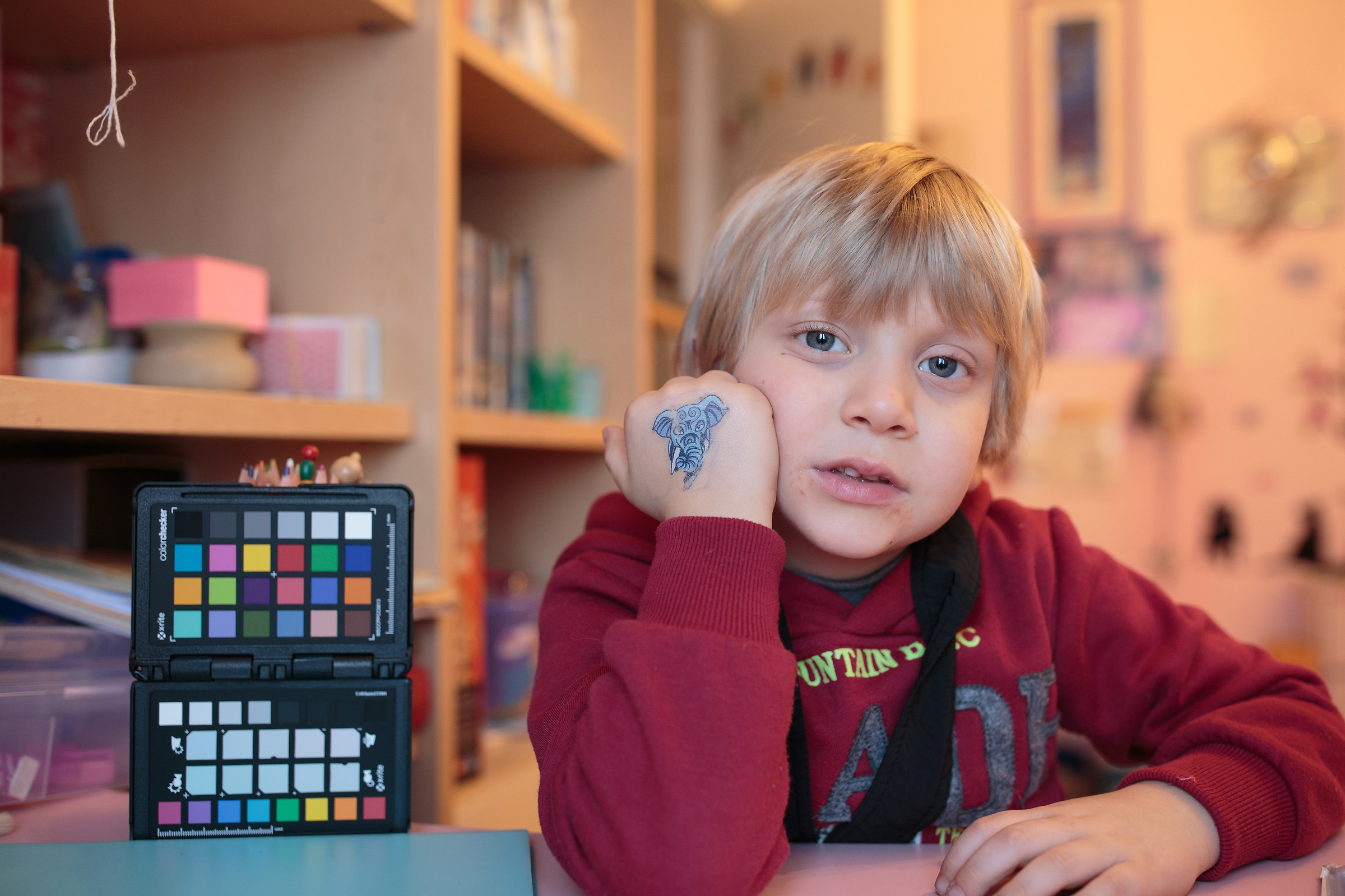 Canon 1DX - Lightroom AWB