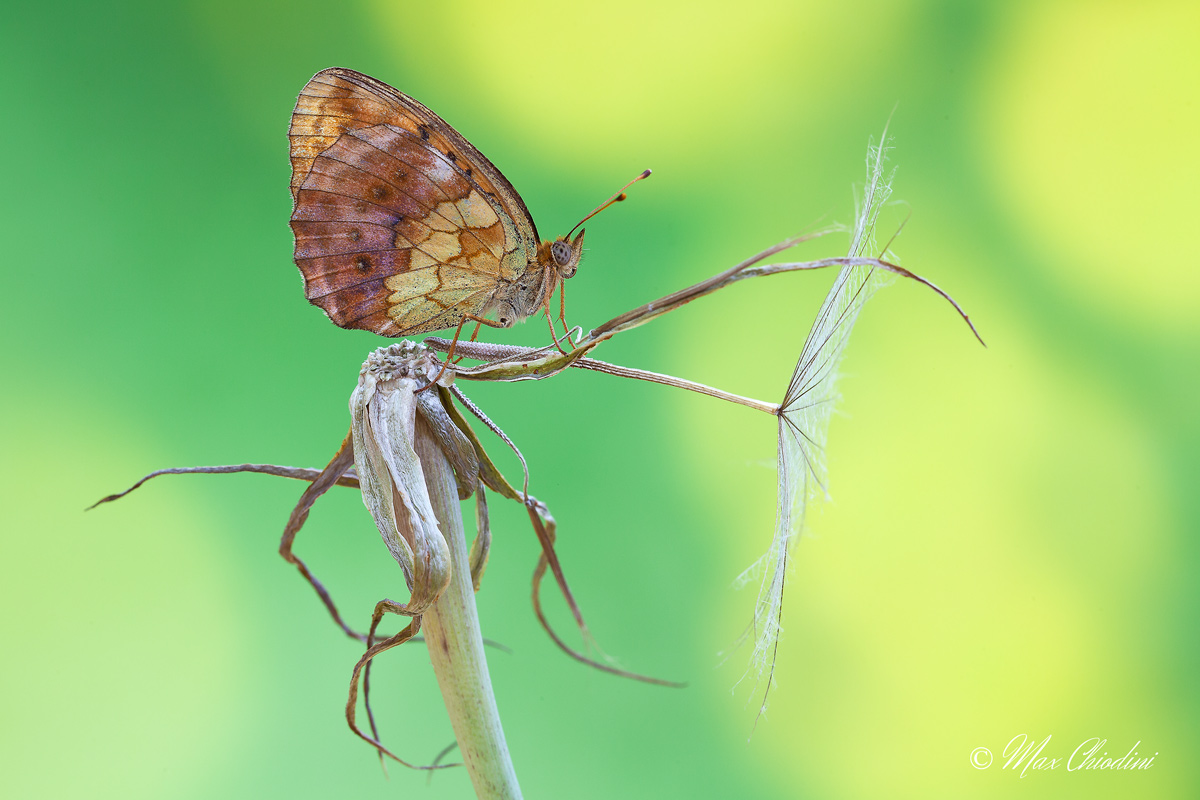 Who knows if it holds up!