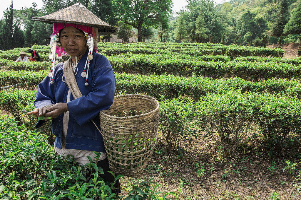 Woman Akha tribe (Shan State-Myanmar)