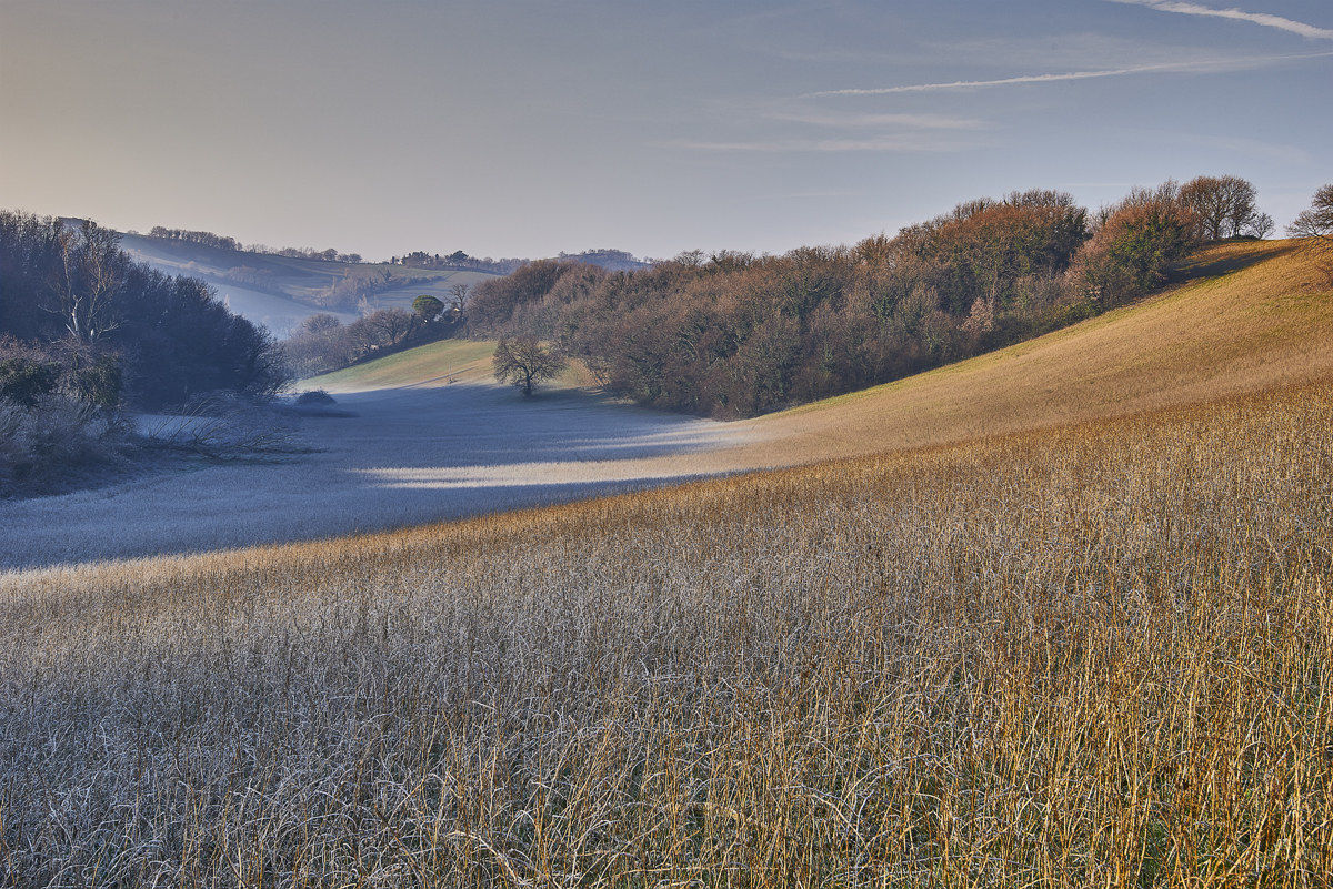 Brina sul San Bartolo (colle di Pesaro)2
