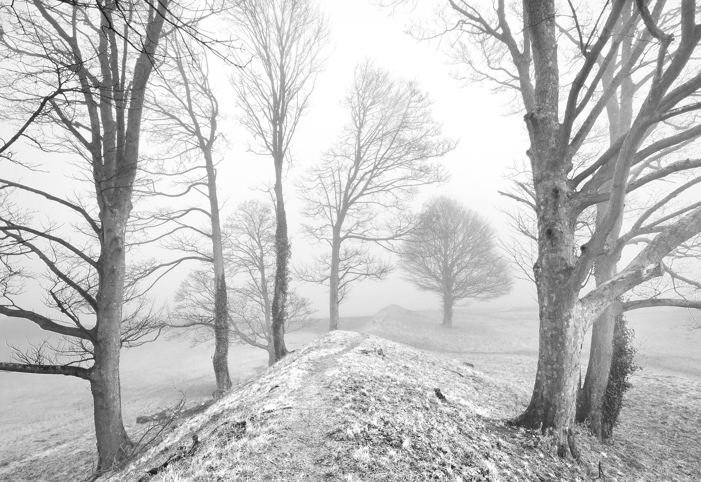 The Mists of Mystery...