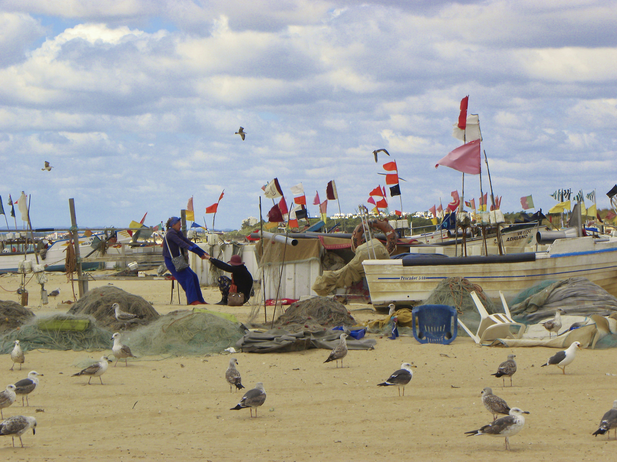 Tirami sù! Turiste e gabbiani, incontrati in Portogal...