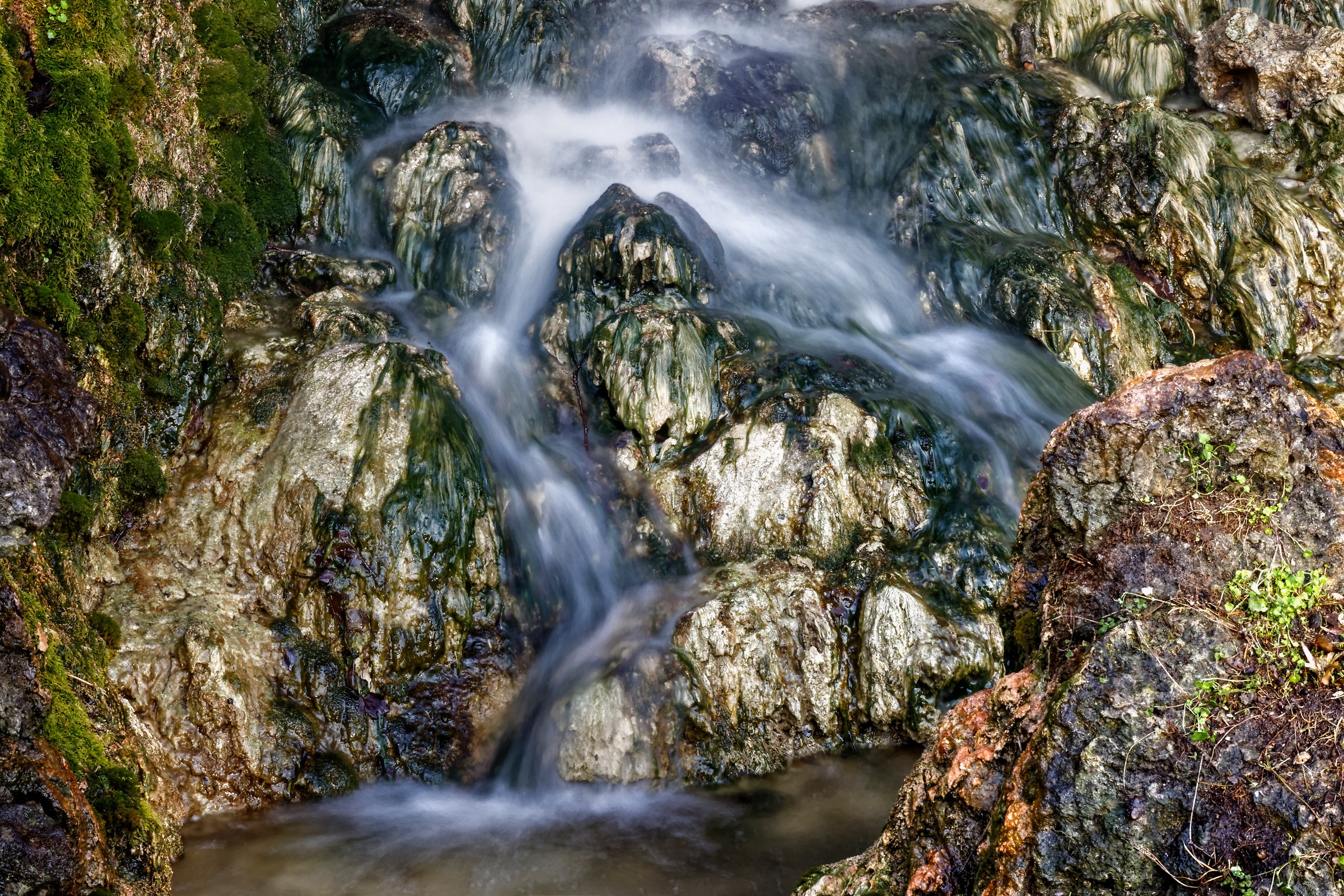 Parco del Valentino (2)