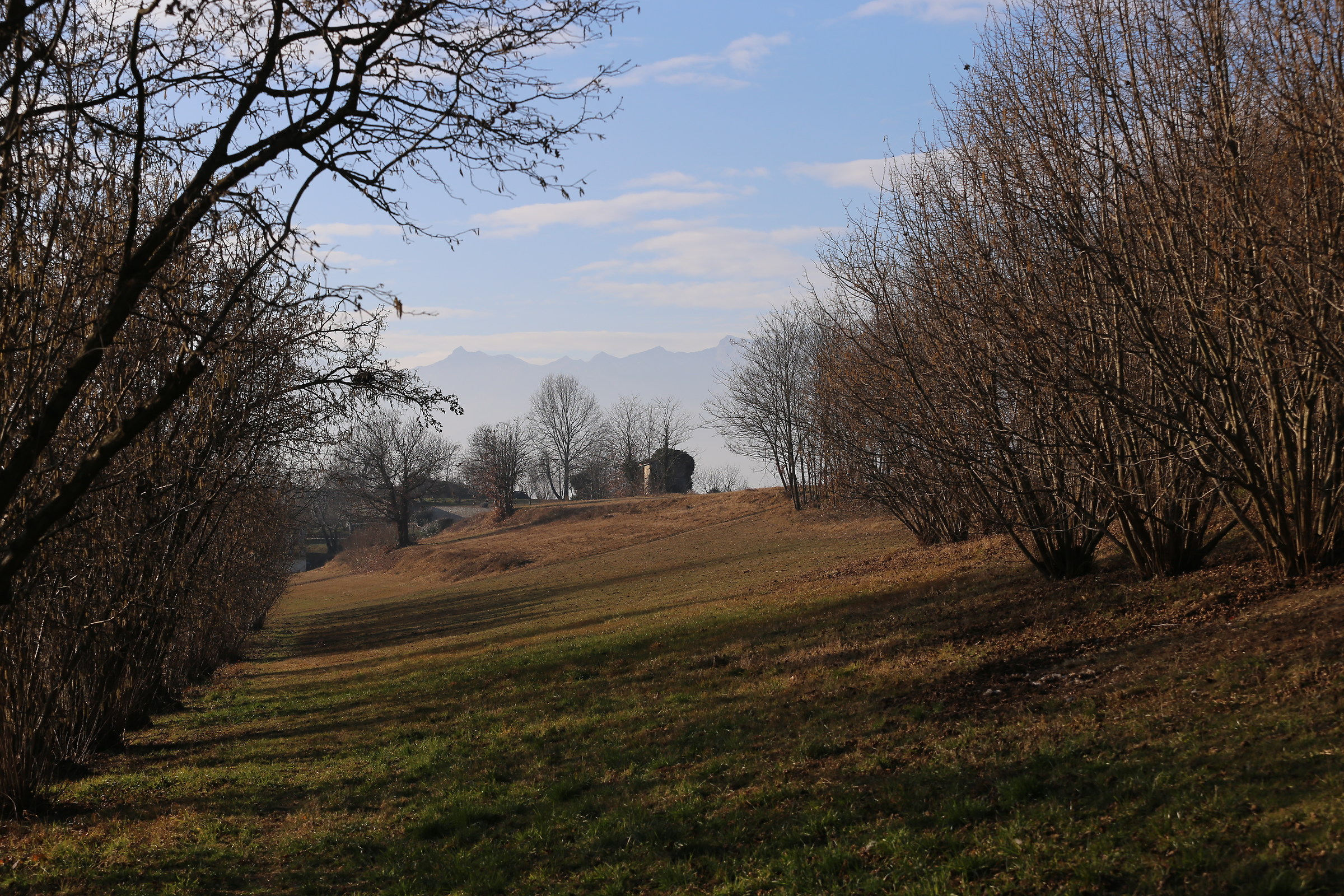 Albiano d'Ivrea: Inverno2