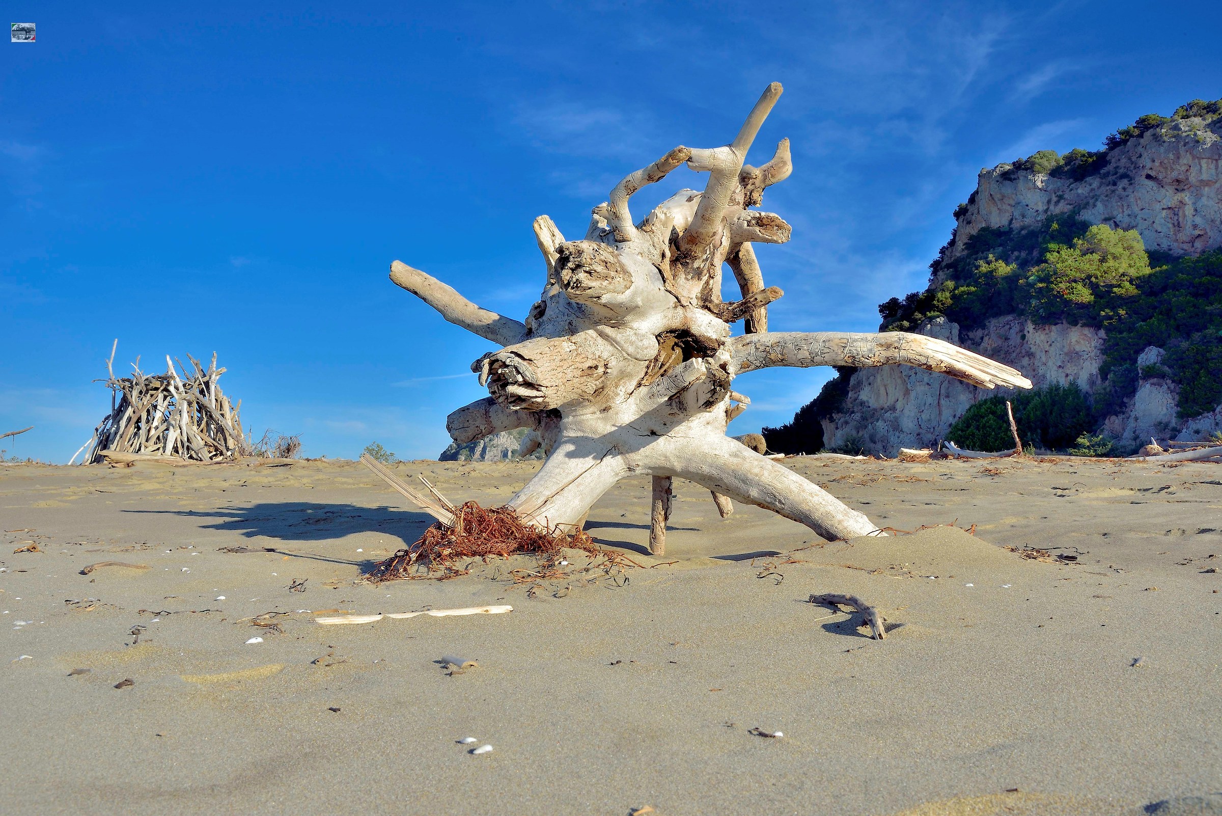 Natural Works of Art