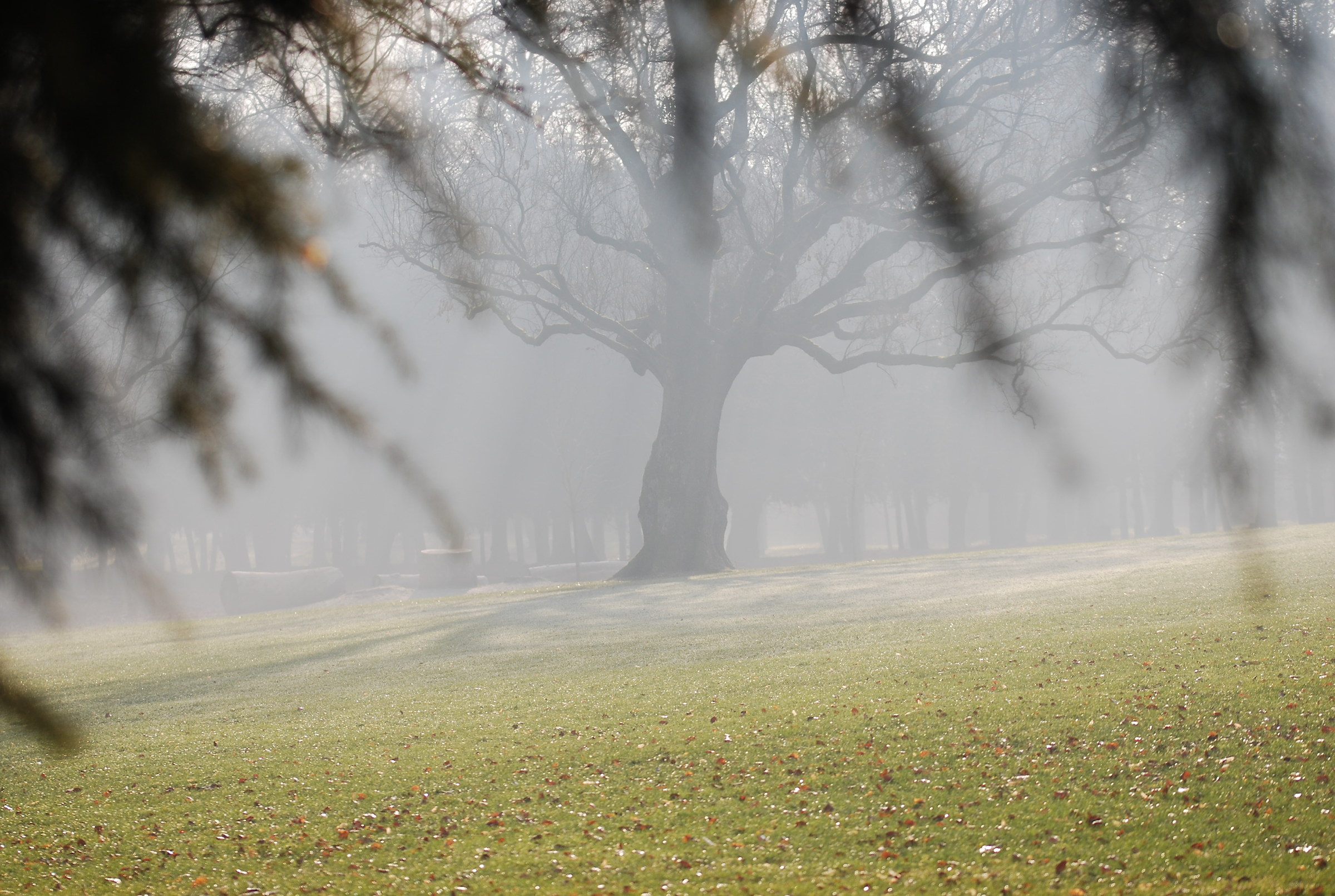 al di là della nebbia...