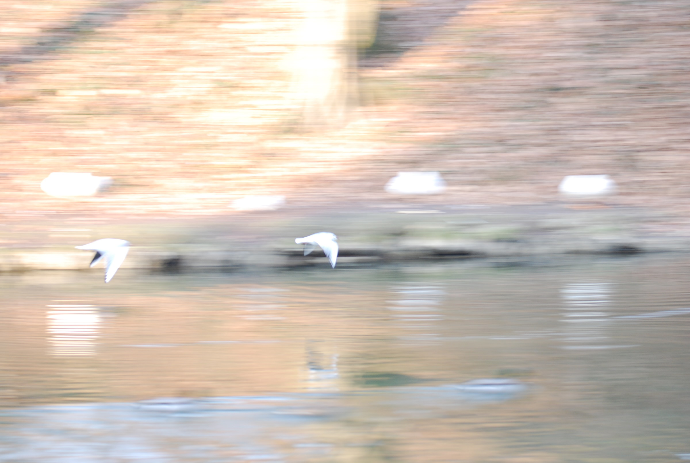Velocità sull'acqua