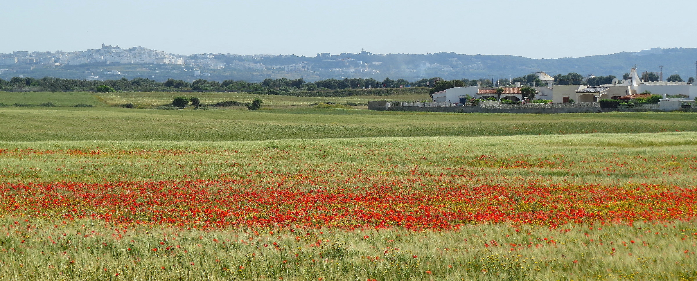 Ostuni, from the sea to the hills