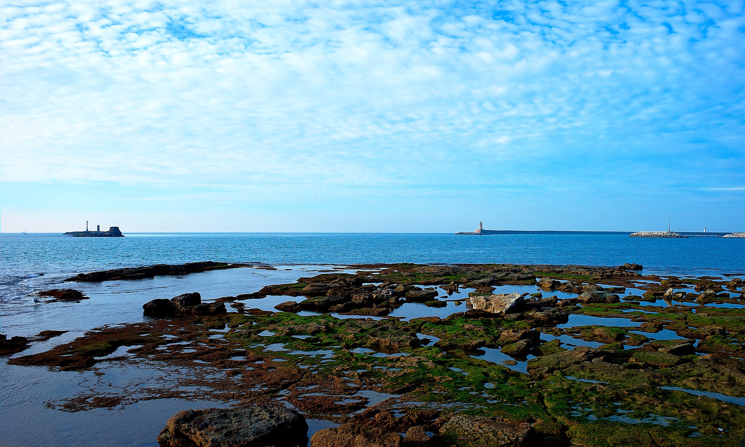 terrace Mascagni Livorno