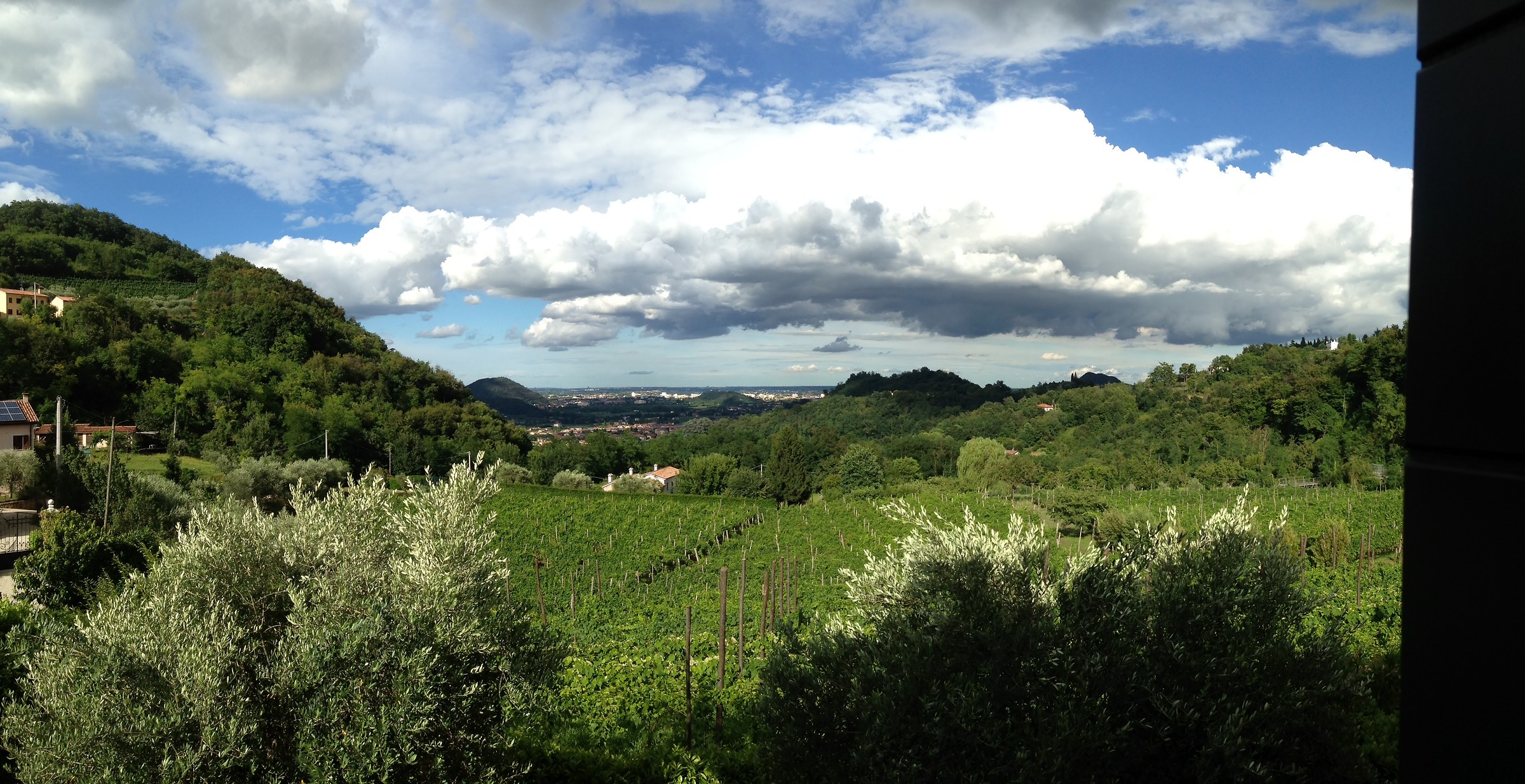 Dalla mia finestra in luglio