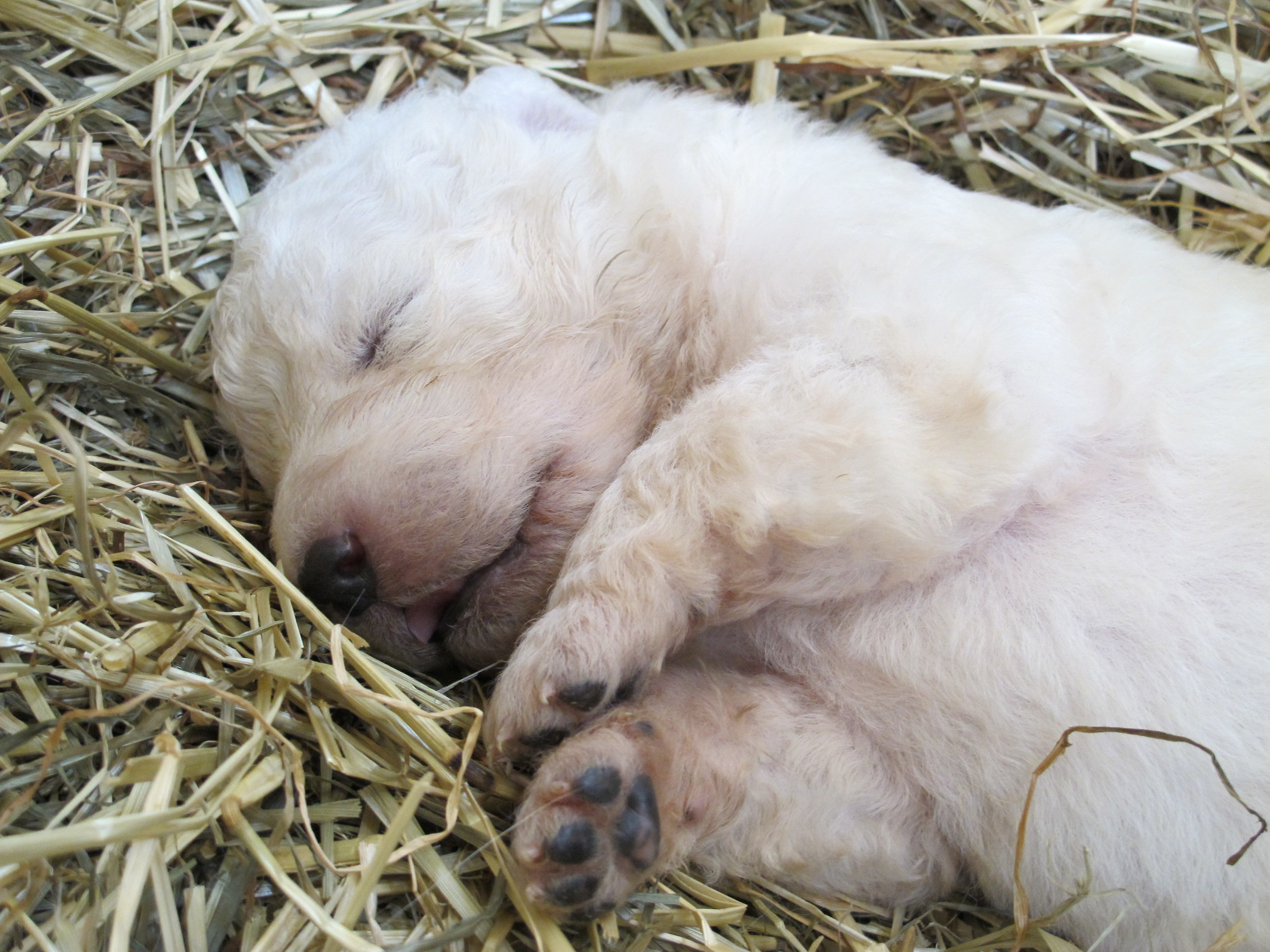 Non disturbare.....grazie