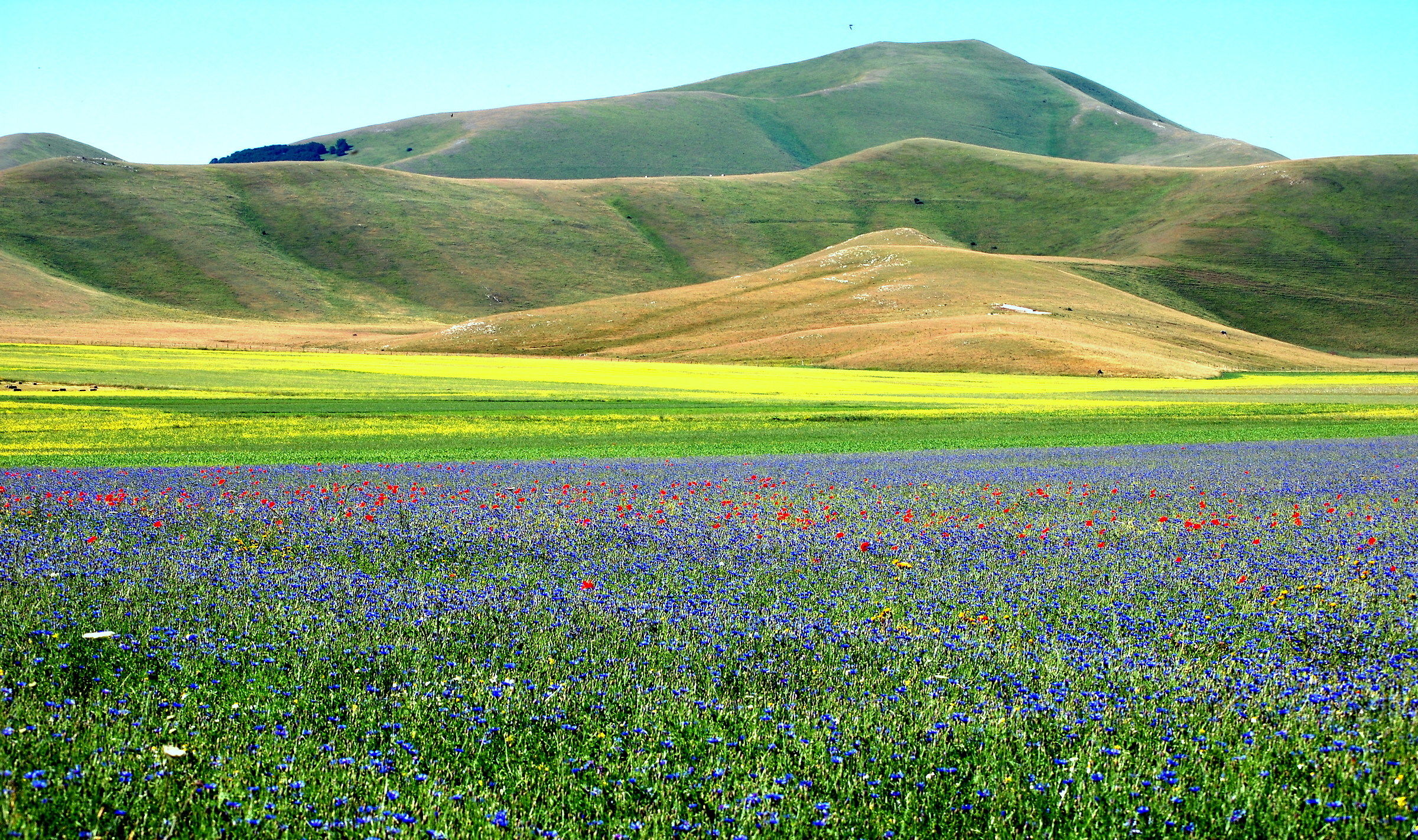 Castelluccio di Norcia