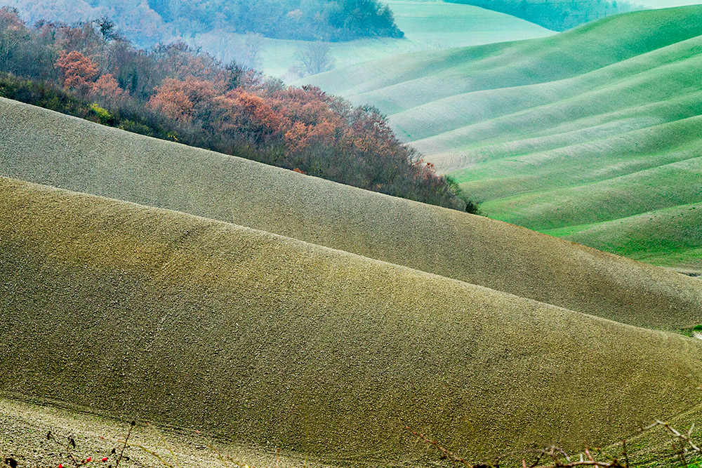 paesaggio nelle crete senesi