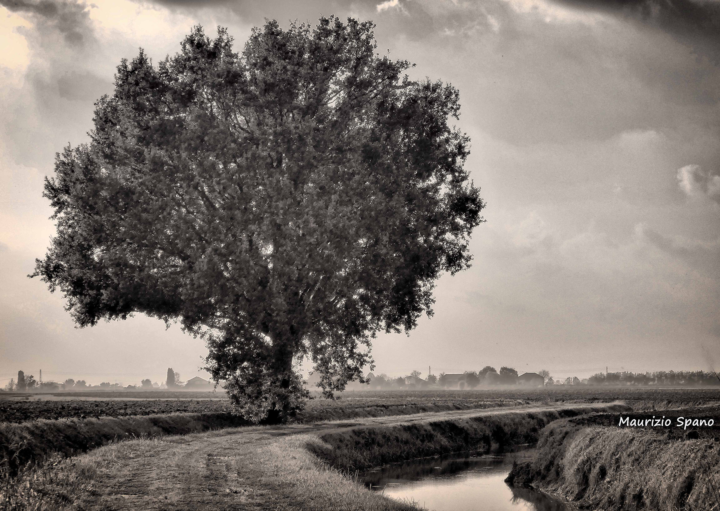 Fragments of Polesine