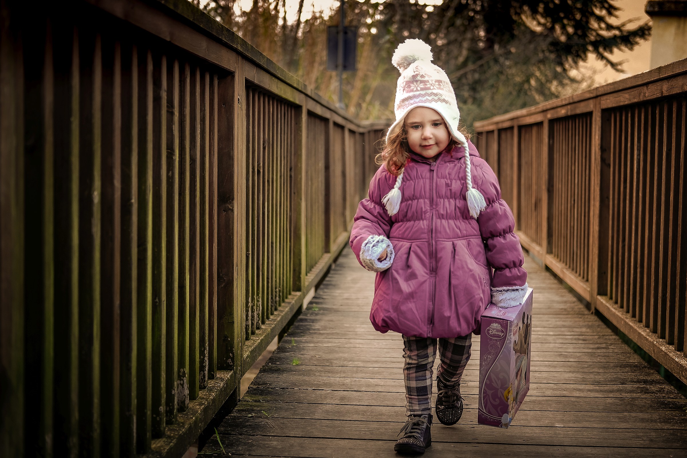 Alice e il ponte di legno