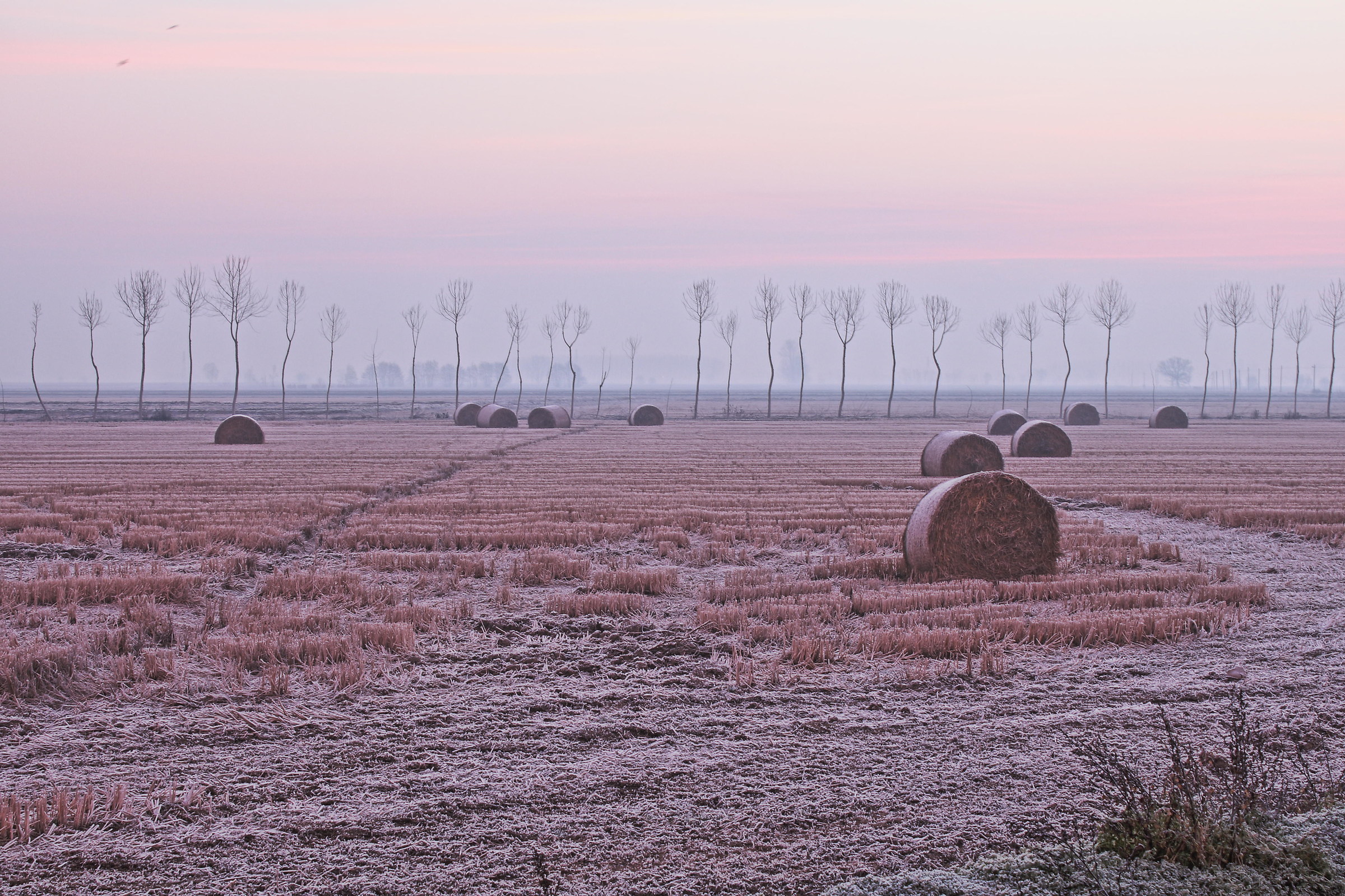 Waiting for the emergence of