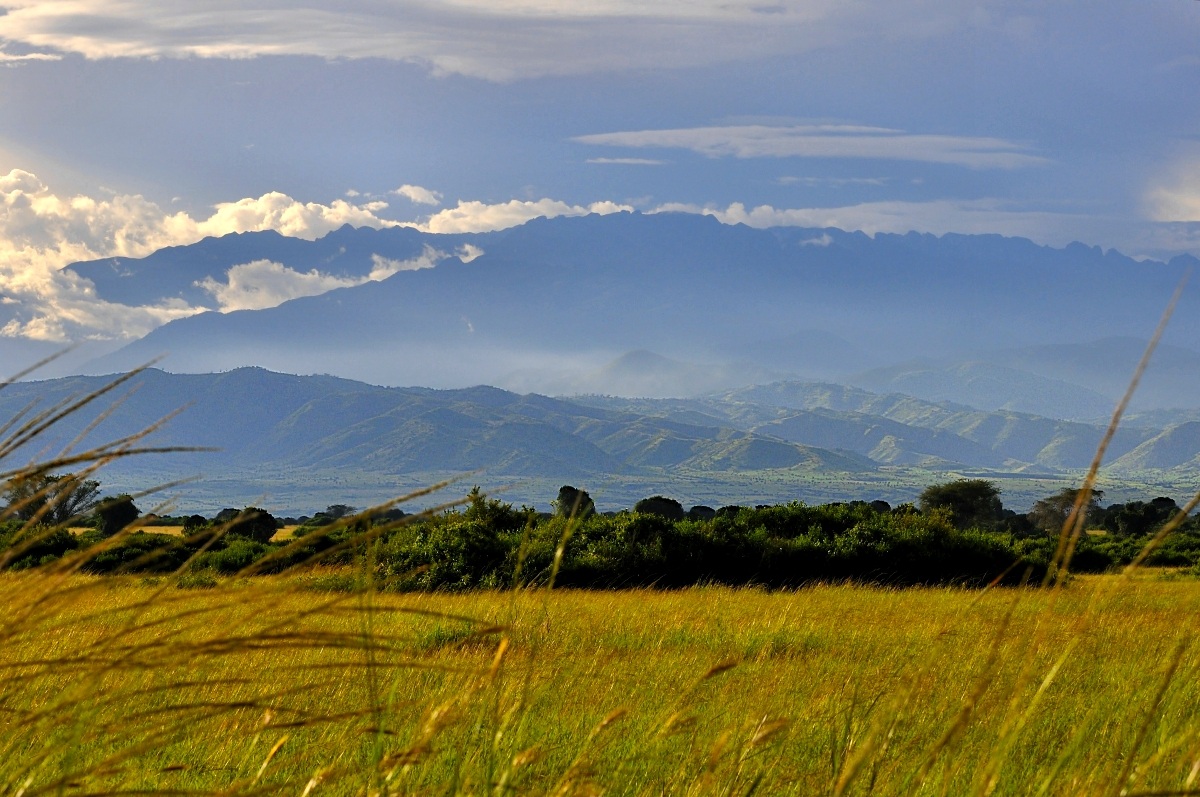 Queen Elizabeth NP, Uganda.