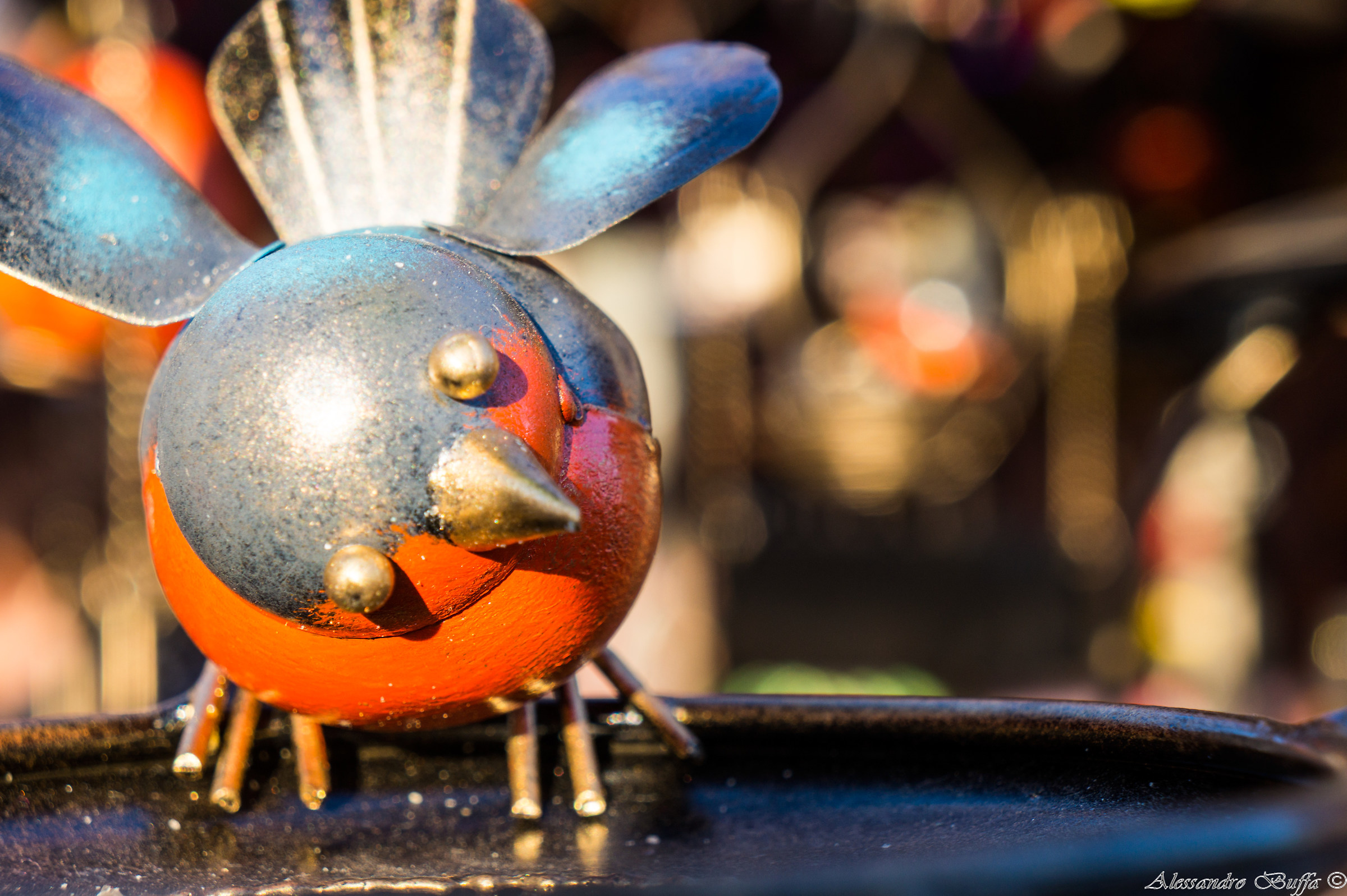 The evolution of species as