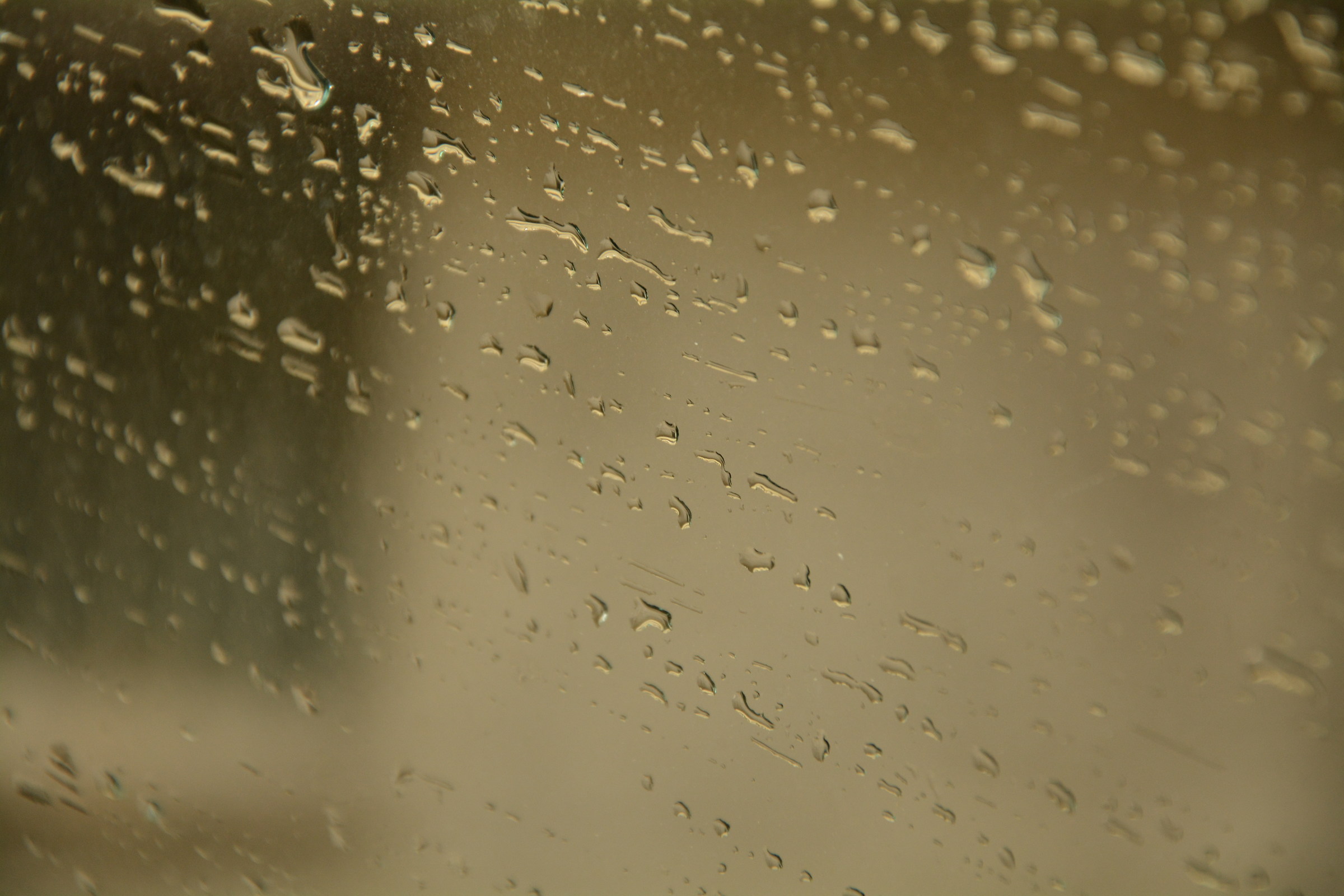 Nikon D5200 f / 5.6 shutter speed 1/60 sec ISO 500