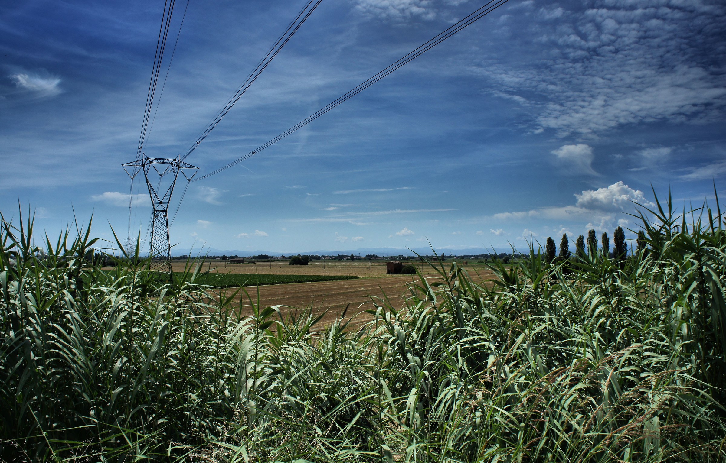 I tralicci e le canne