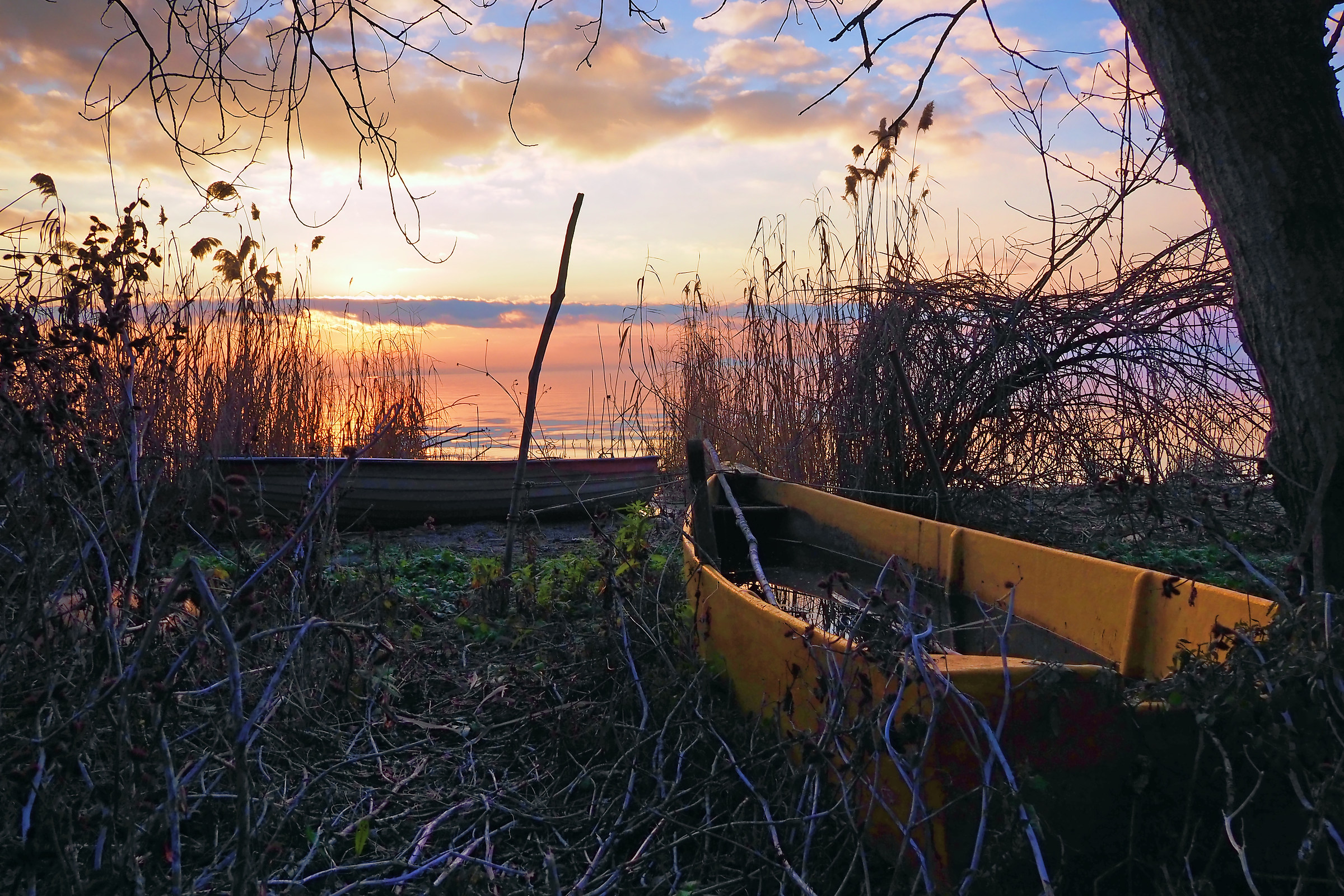 The colors of the Trasimeno