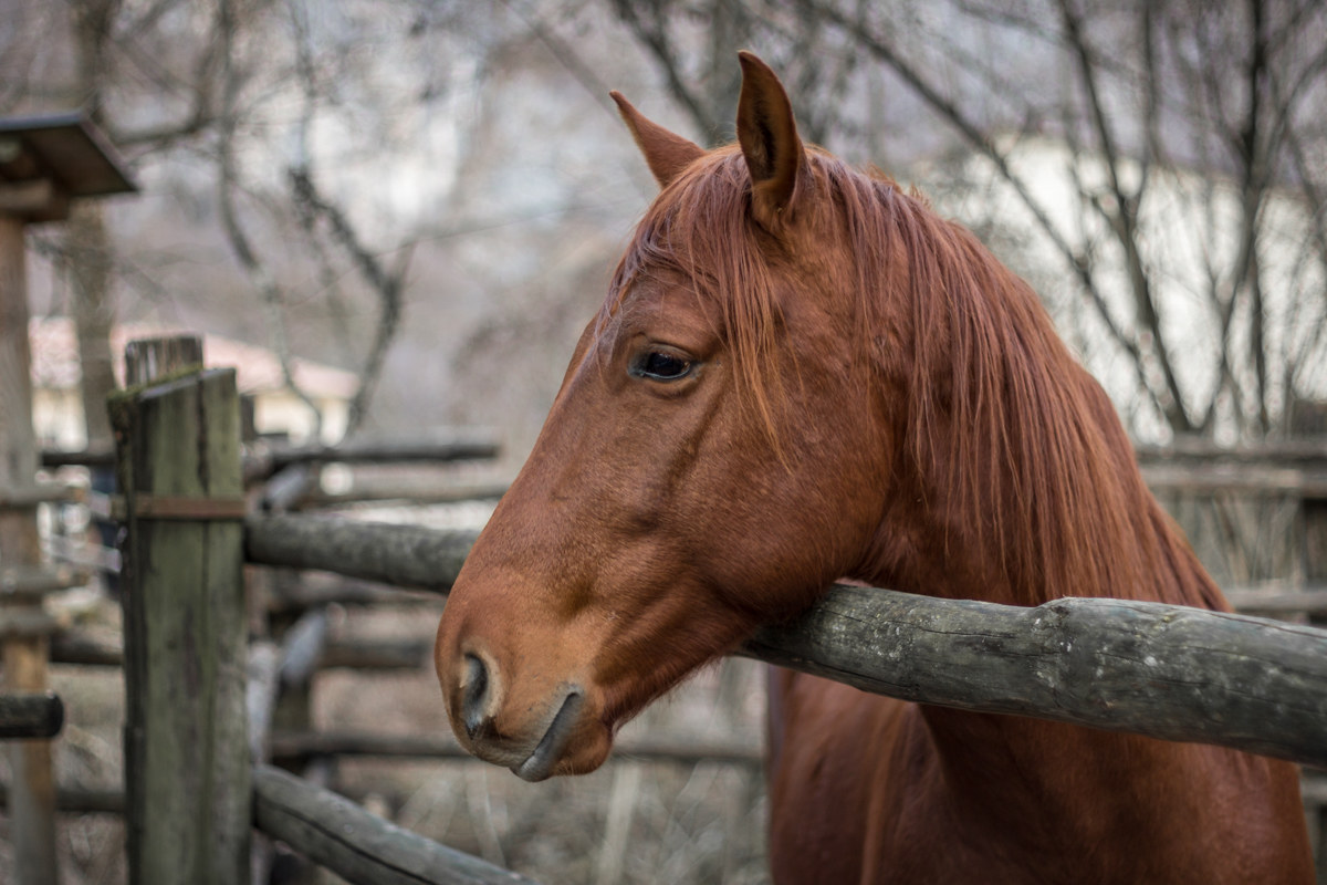 Vorrei correre.... Non posso!!