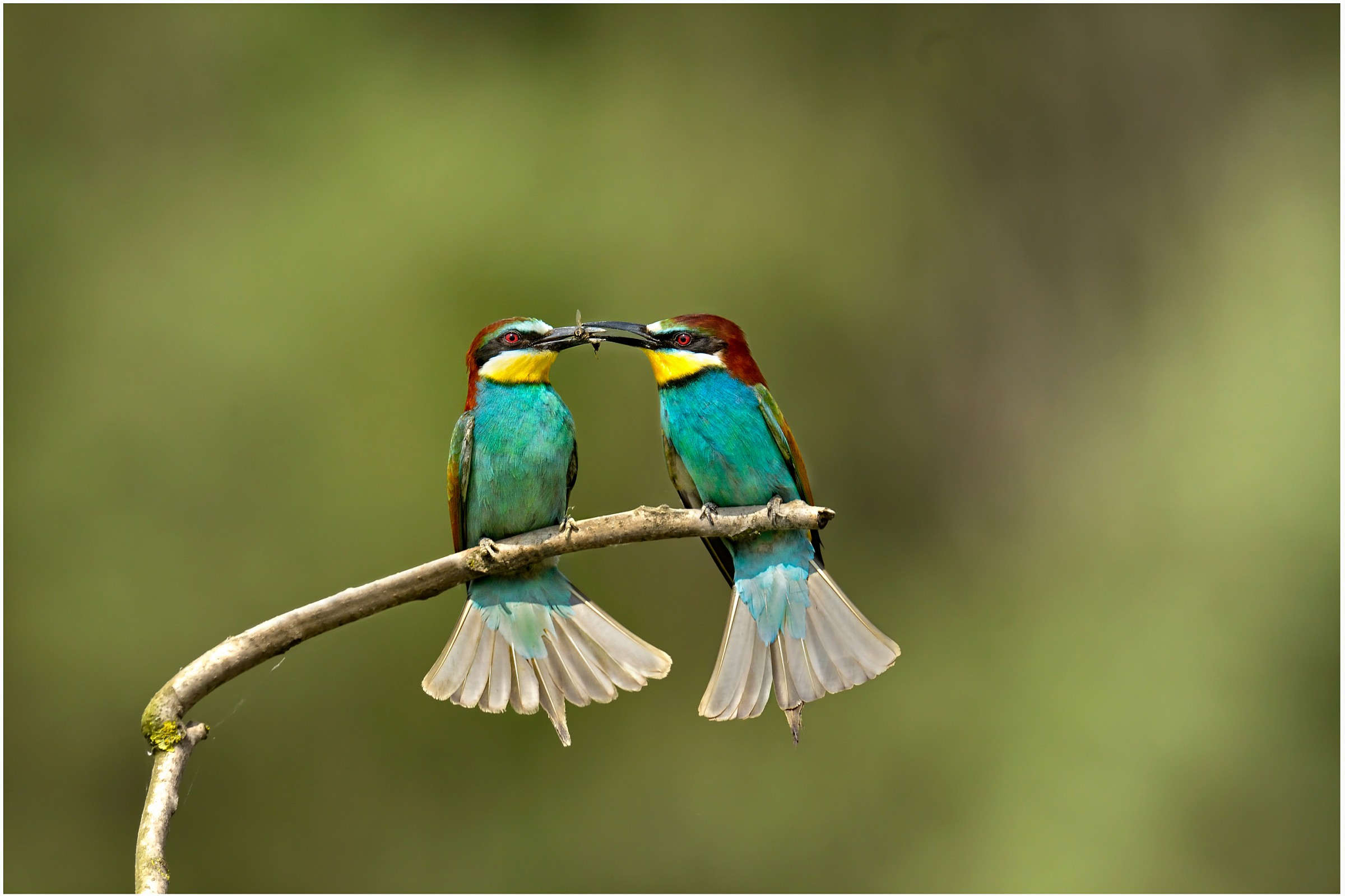 I'll keep or hold you!