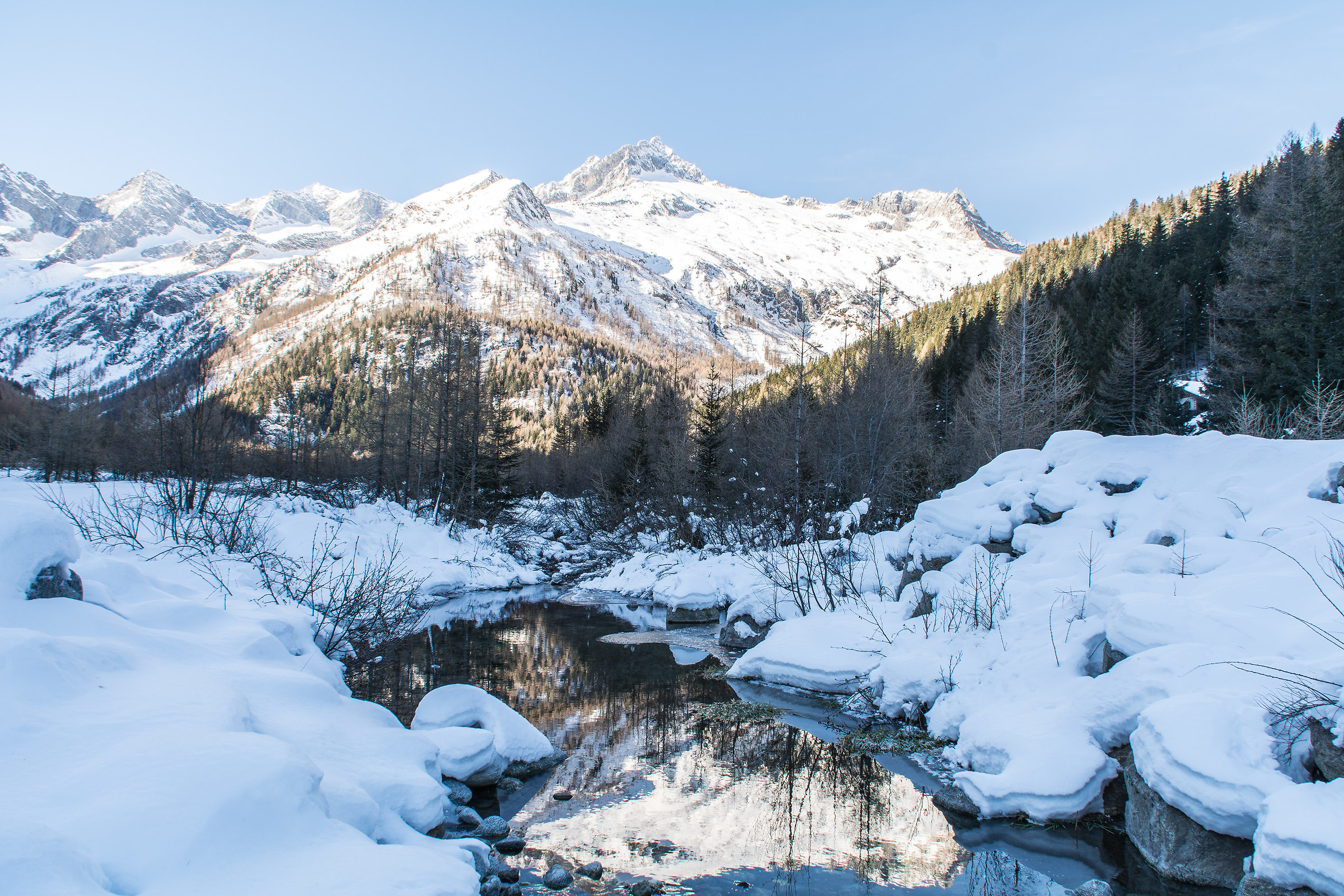 Riflessi del laghetto