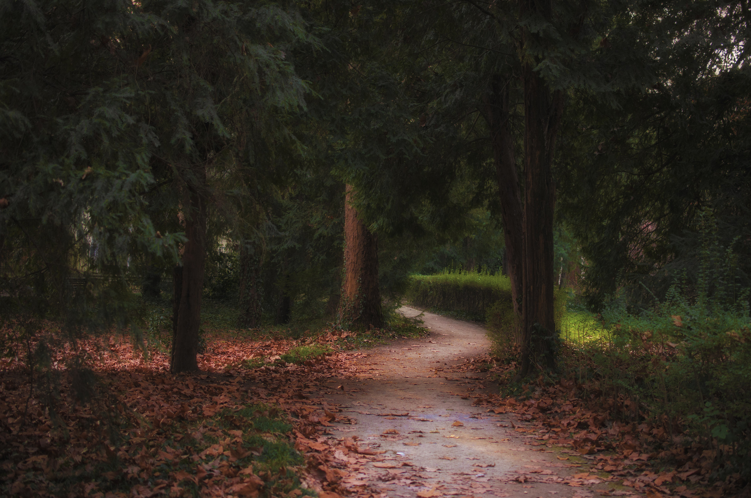 Parco di Villa Ghirlanda...