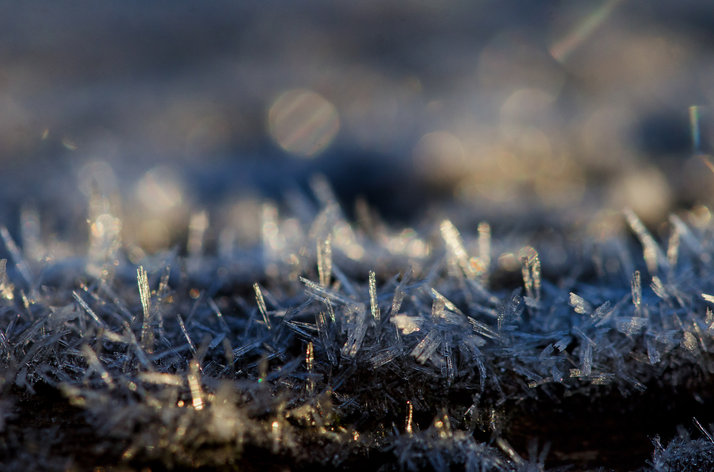 Foresta dei cristalli di ghiaccio ...