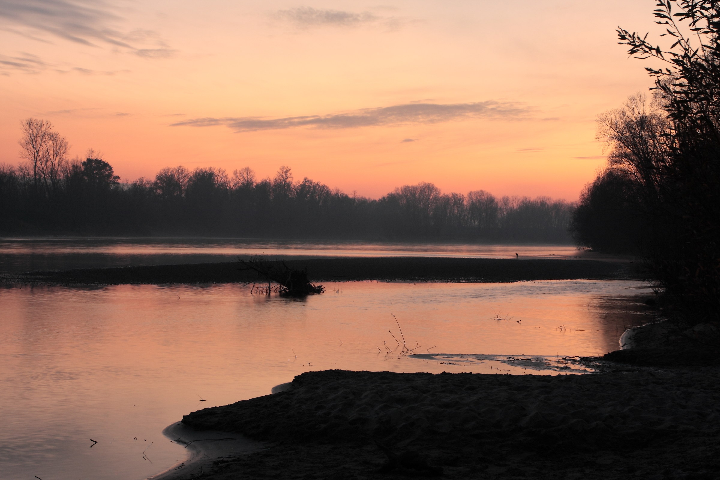 The river of the Pink Panther