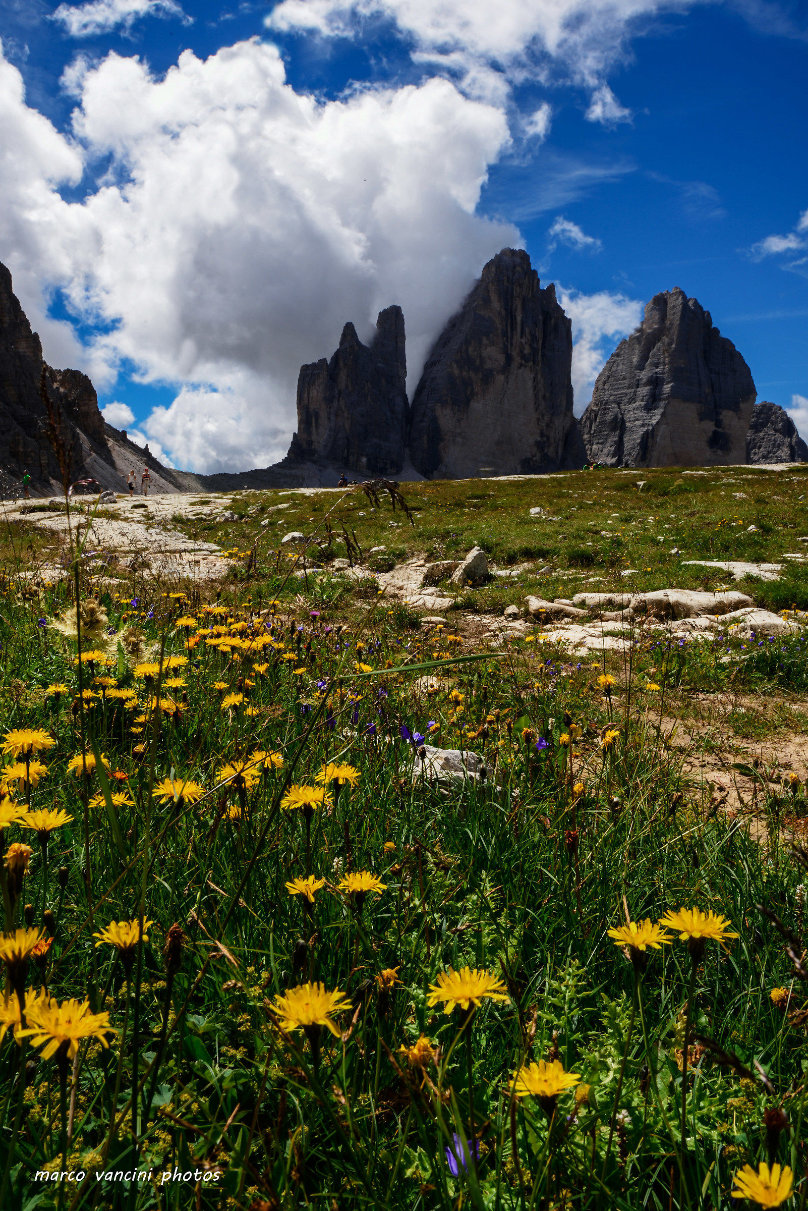 Dal prato fiorito alla Tre cime di Lavaredo