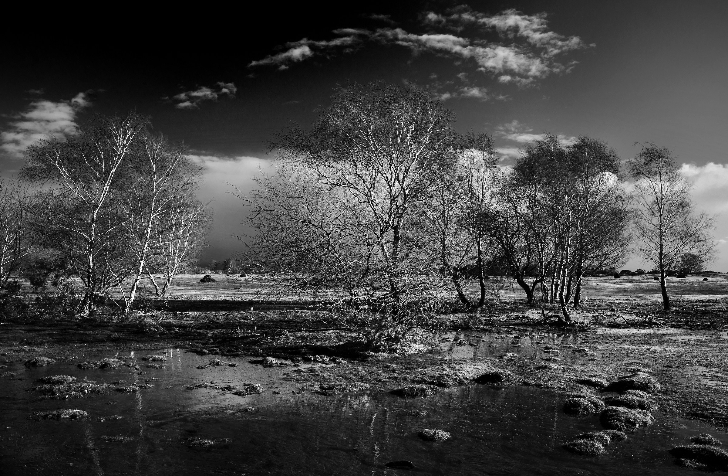 New Forest - Natural Floods in Winter