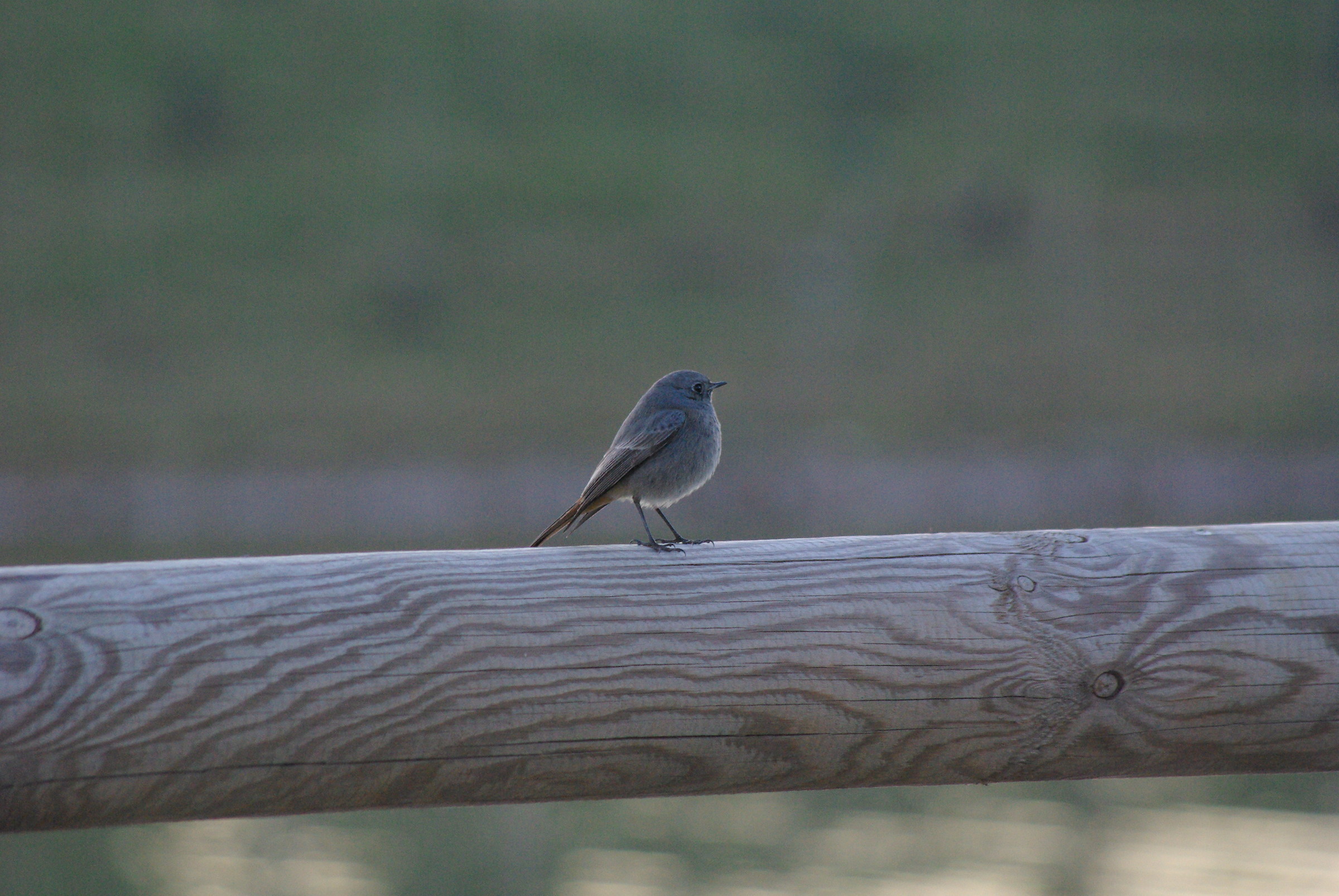 I am better in profile