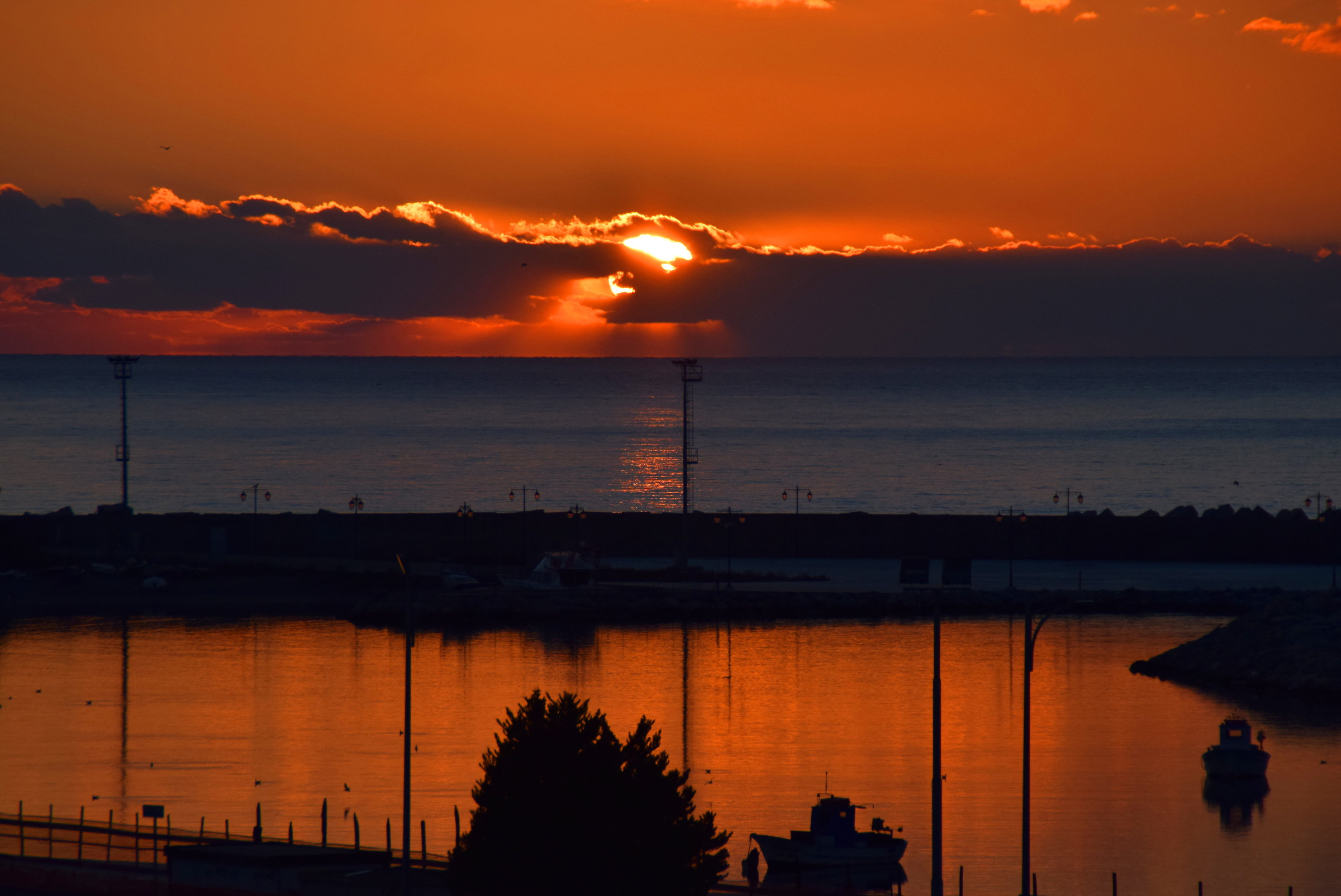 Sunrise on the harbor