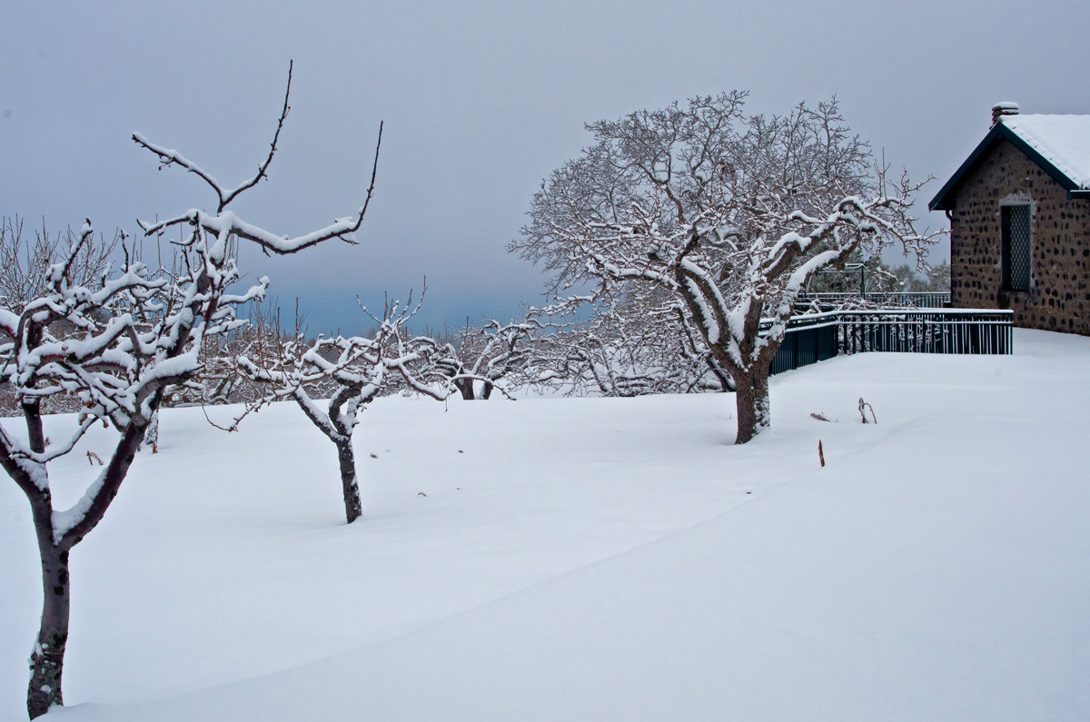 Inverno sull'Etna 2