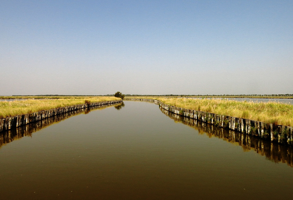 Valli di Comacchio
