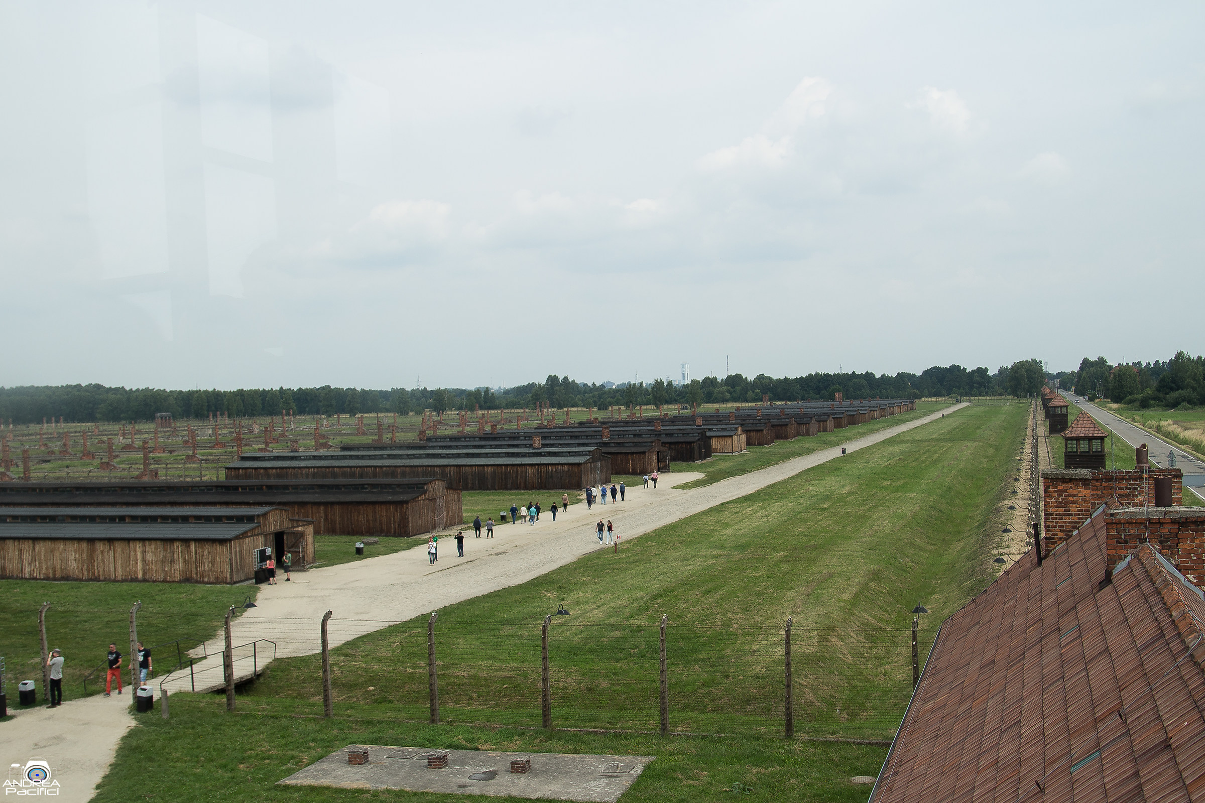 Birkenau
