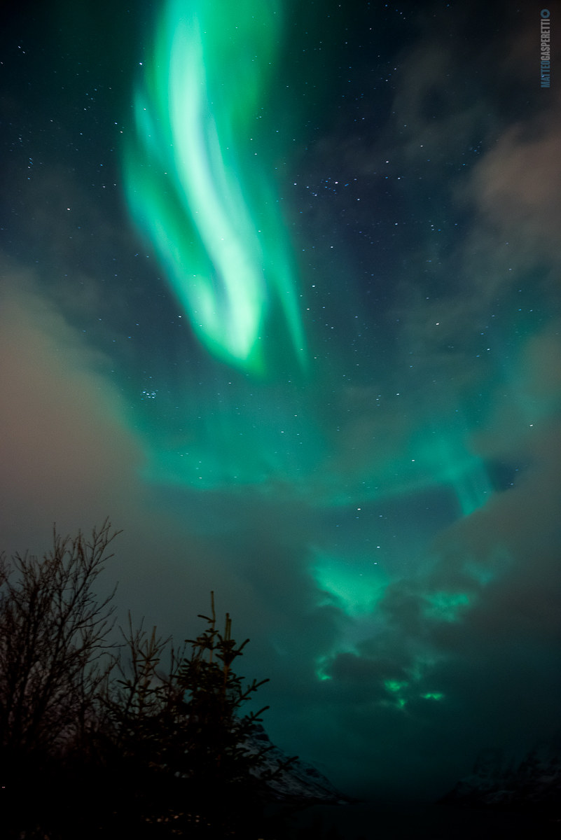 La prima aurora non si scorda mai