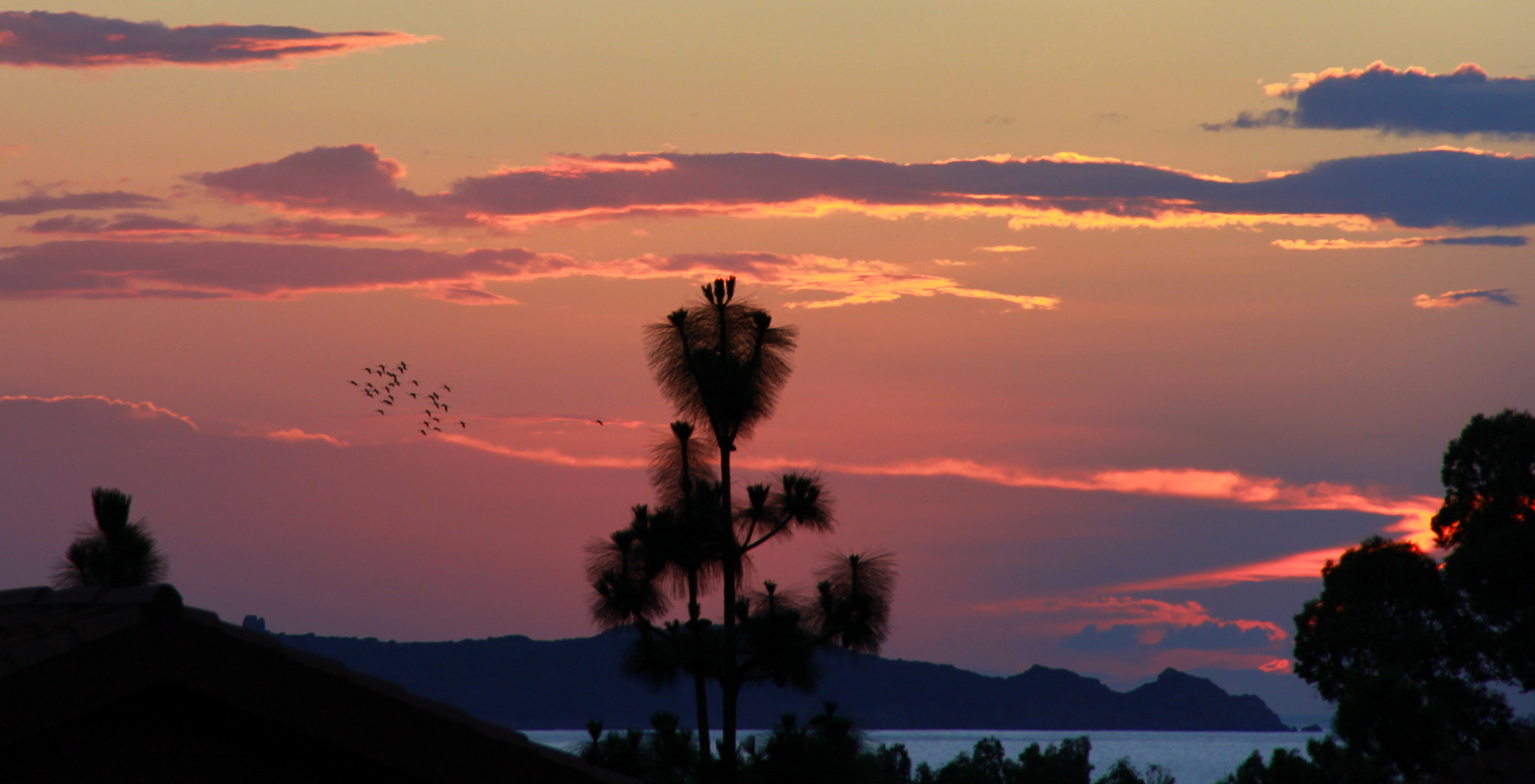 In lontananza, un volo di fenicotteri all'alba